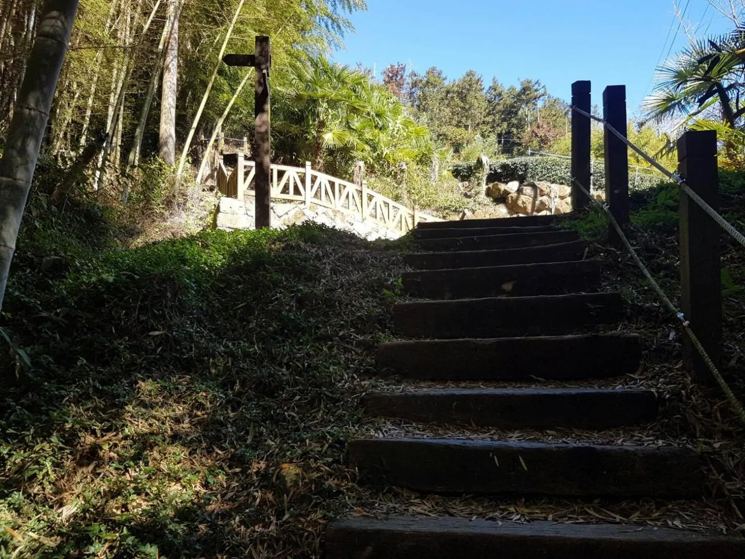 Spring in Ming Yang B&B