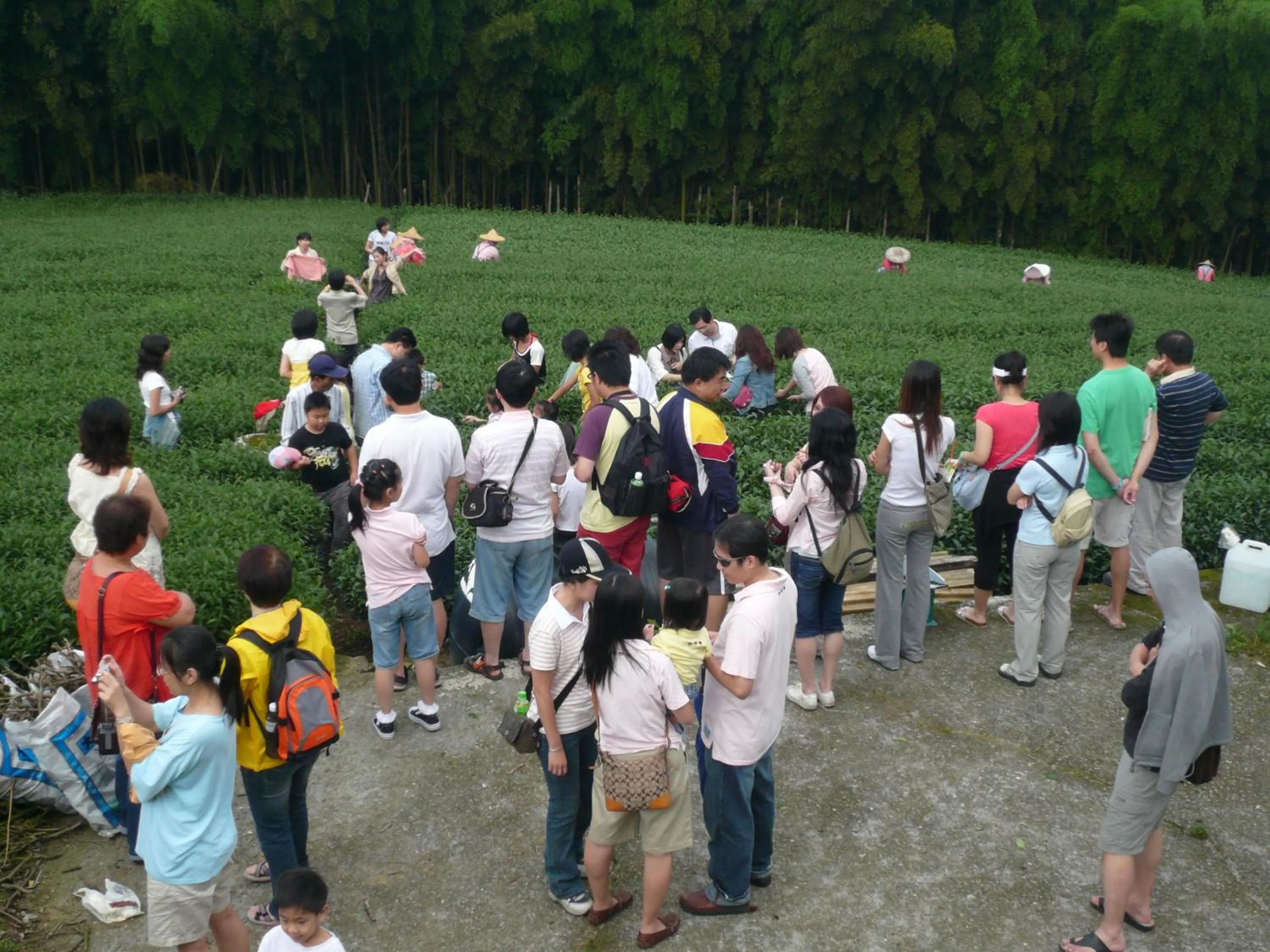 Property building in Ming Yang B&B