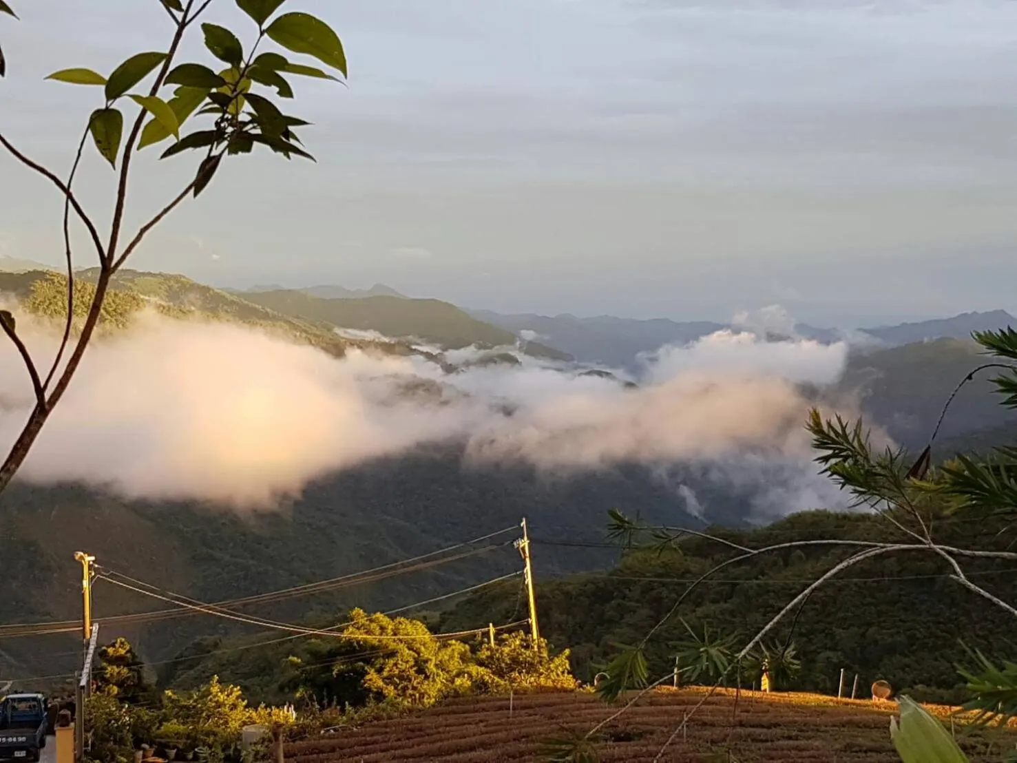 Property building in Ming Yang B&B