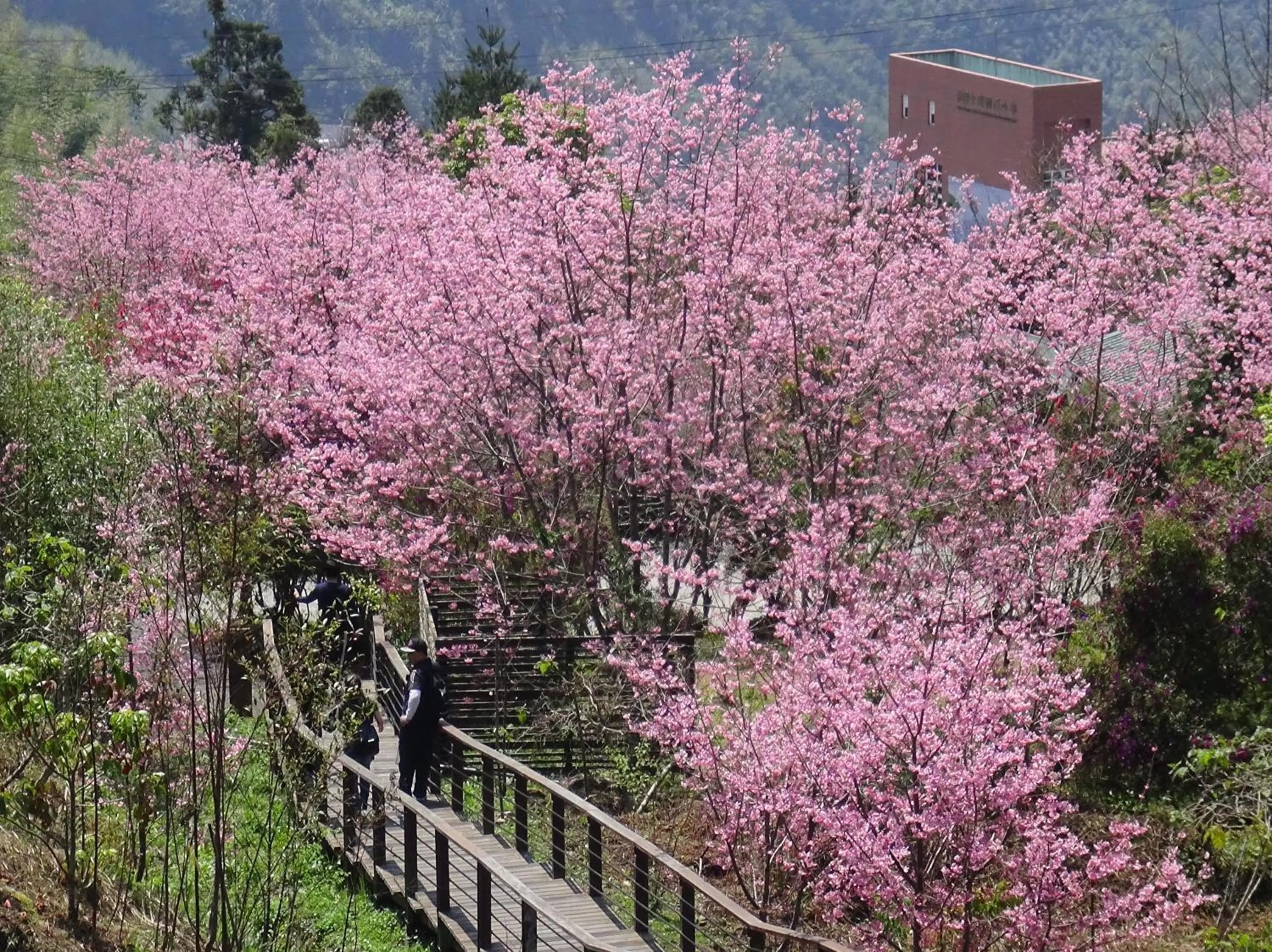 Property building in Ming Yang B&B