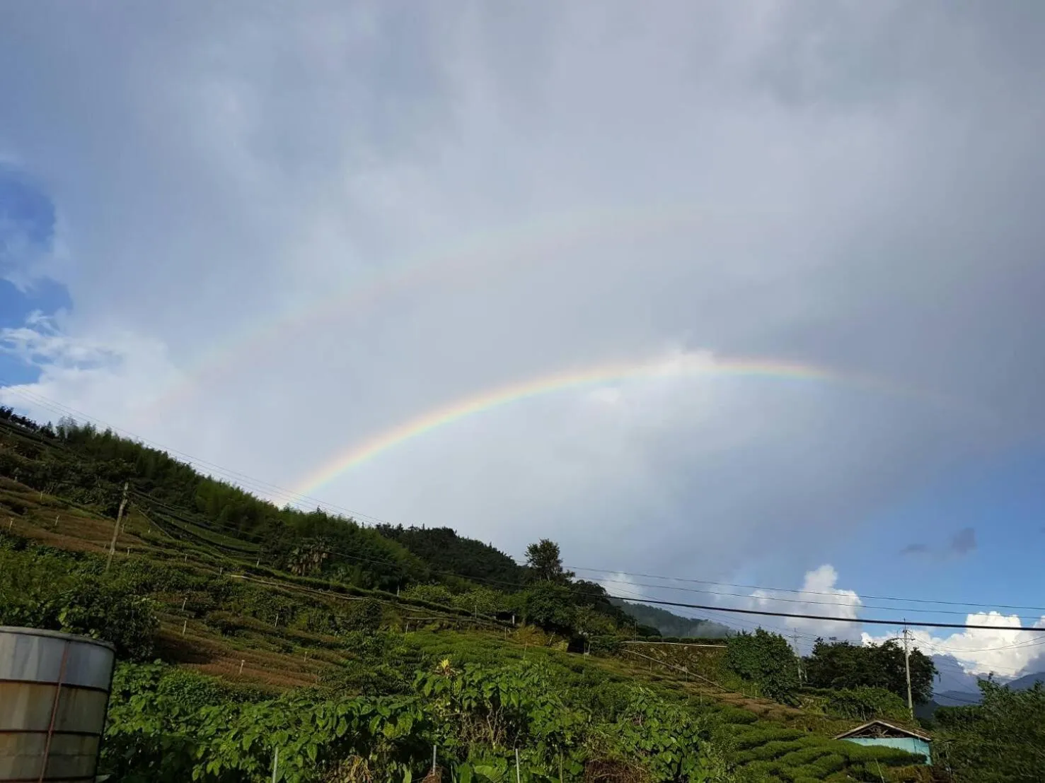 Day in Ming Yang B&B