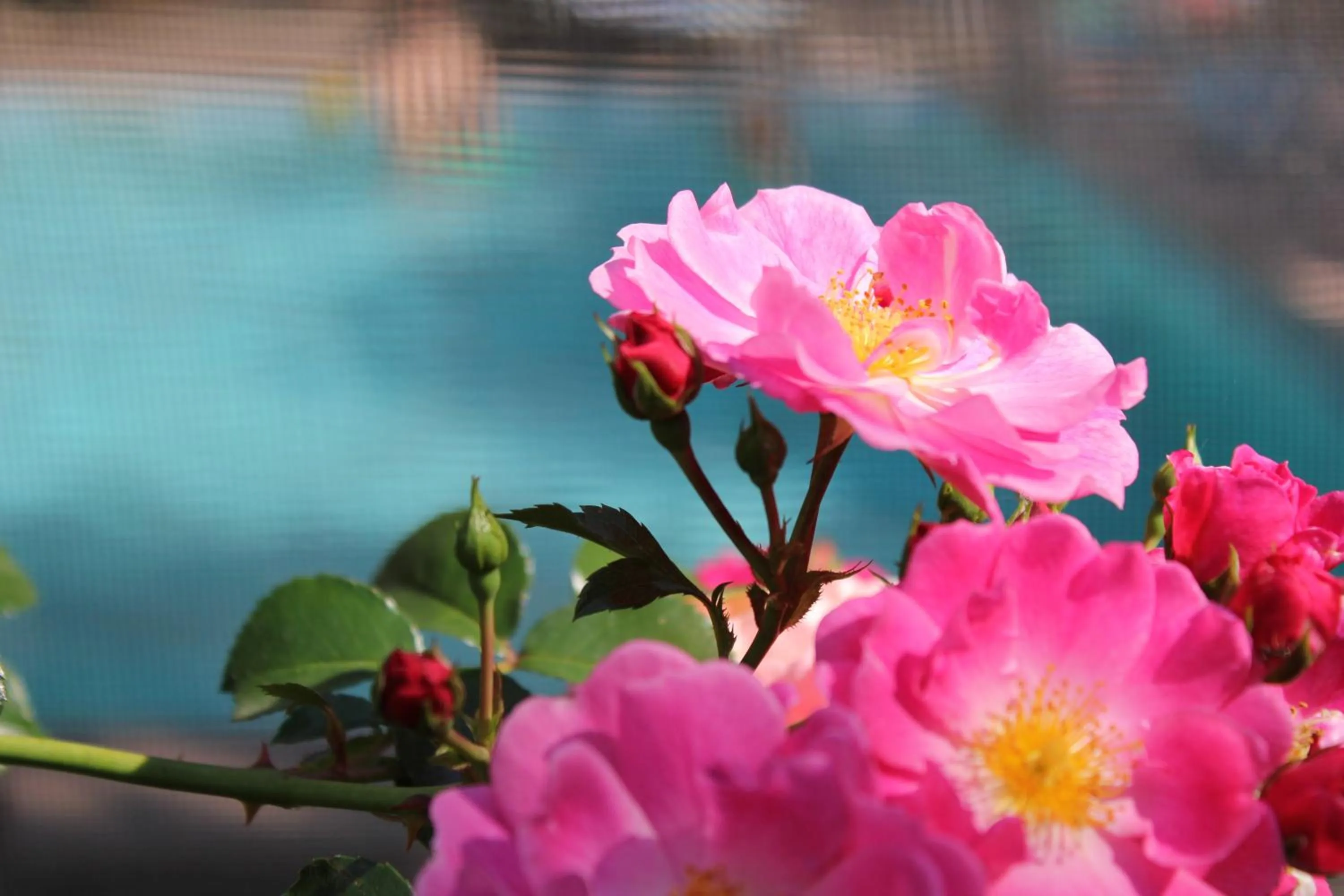 Balcony/Terrace in Hôtel Au Pavillon du Frêne