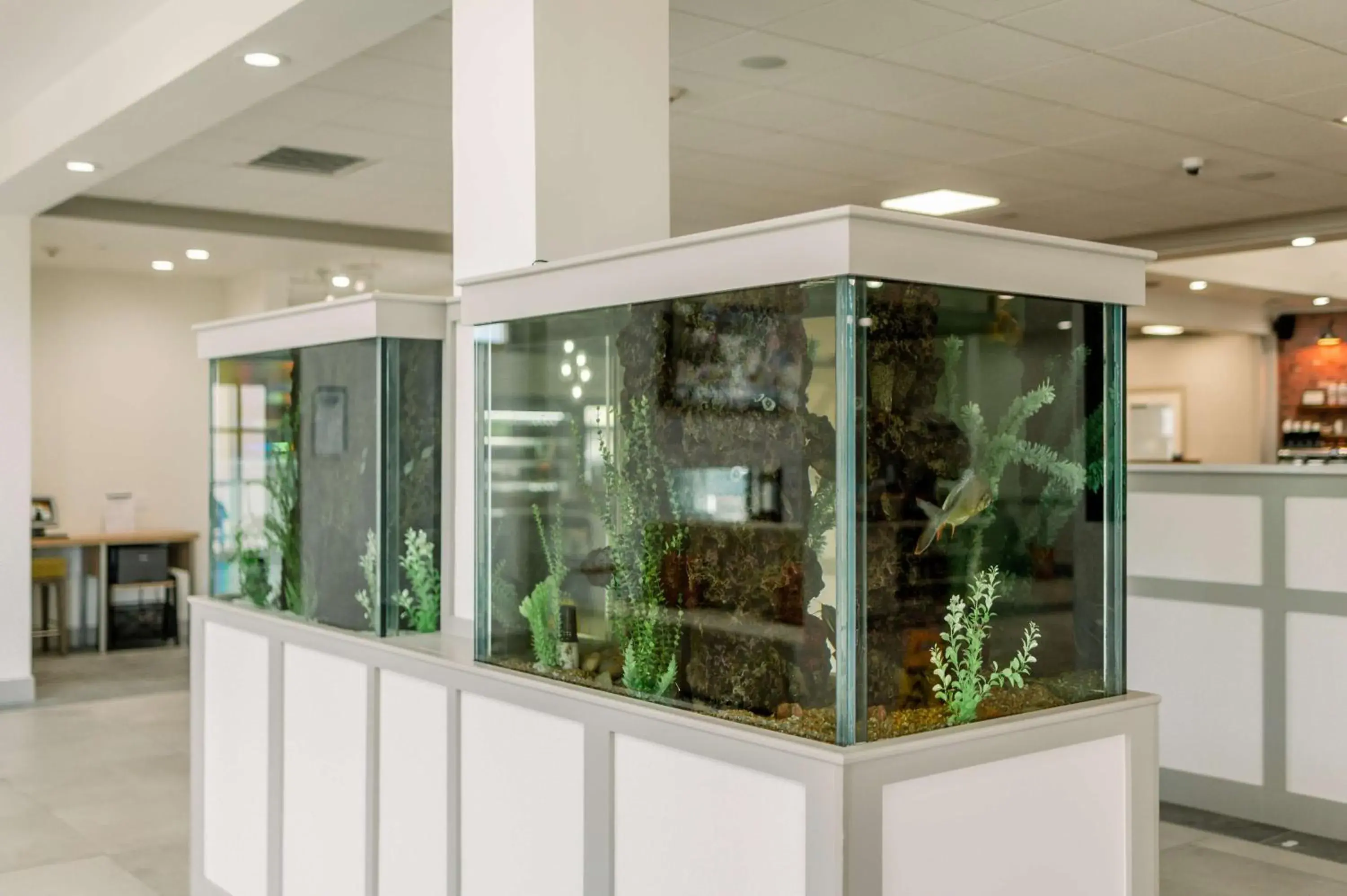 Lobby or reception in Hilton Garden Inn Outer Banks/Kitty Hawk Lobby or reception in Hilton Garden Inn Outer Banks/Kitty Hawk