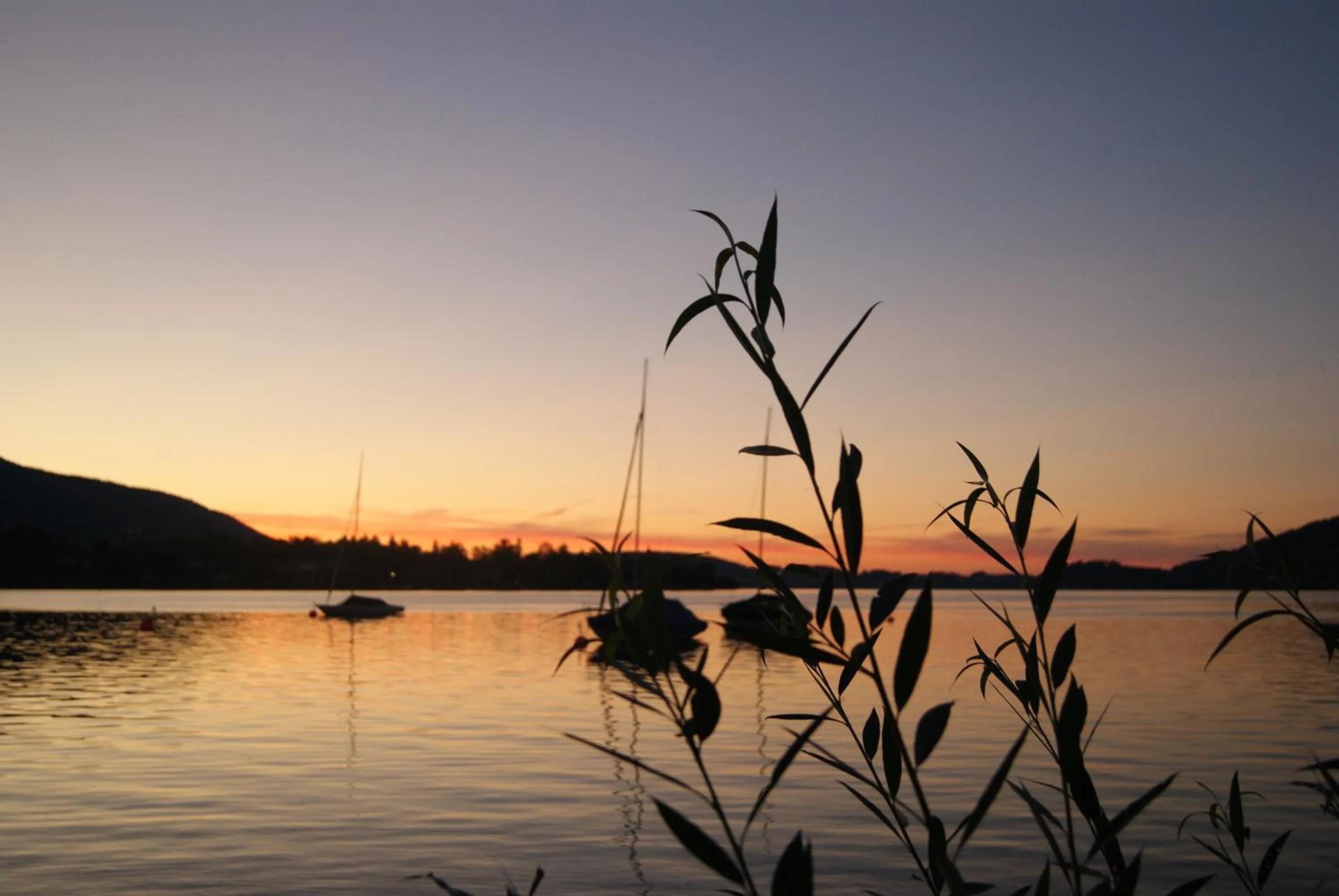 Natural landscape in Hotel Garni Gästehaus Brand