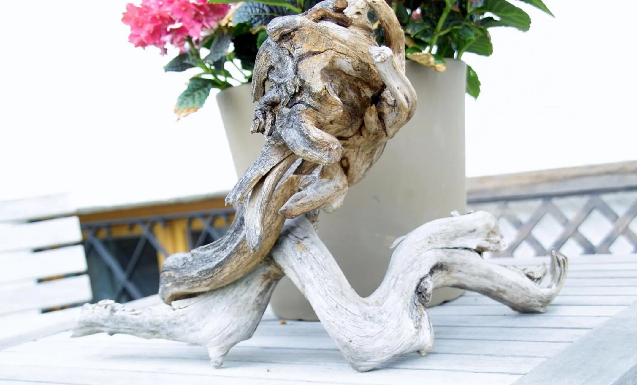 Garden in Hotel Garni Gästehaus Brand