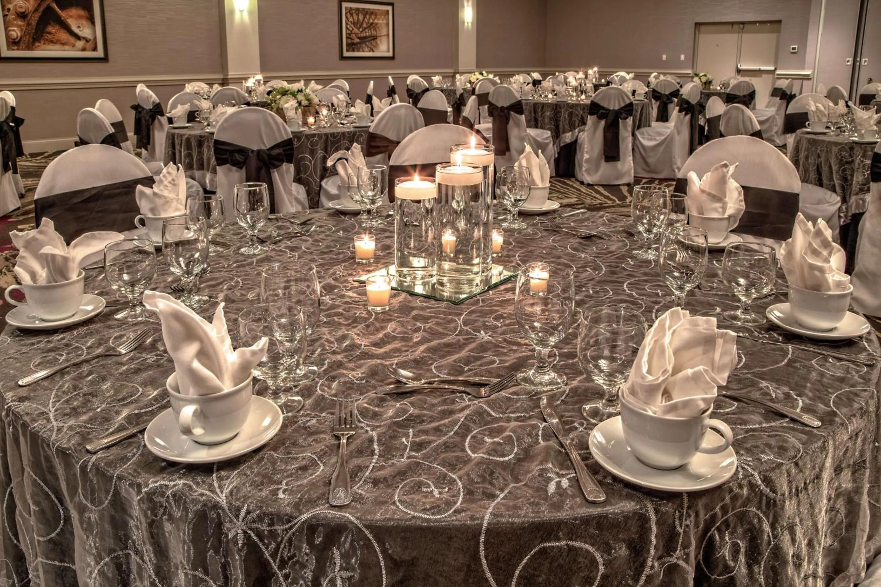 Meeting/conference room in DoubleTree by Hilton Decatur Riverfront