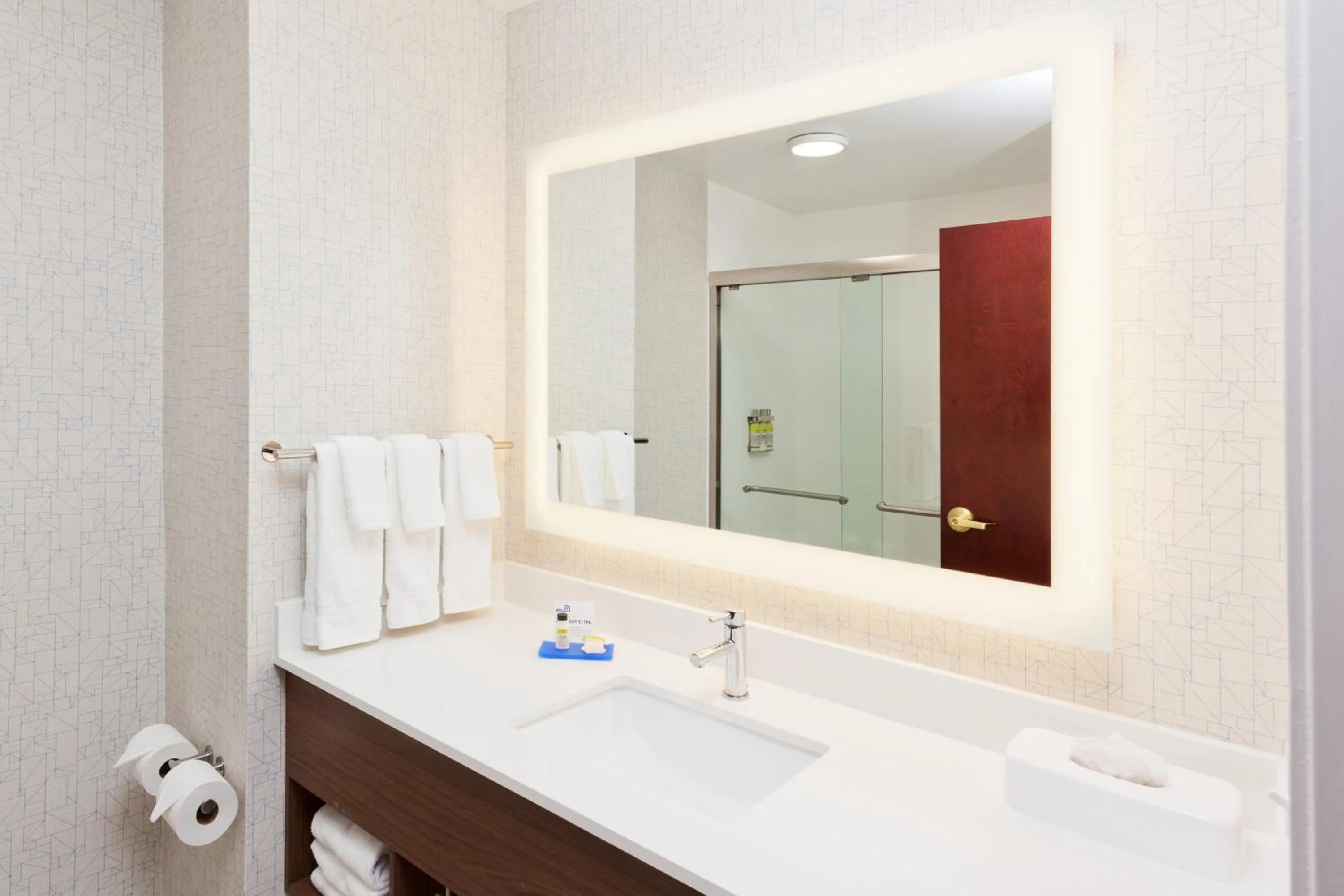 Bathroom in Holiday Inn Express Hotel & Suites Dothan North by IHG