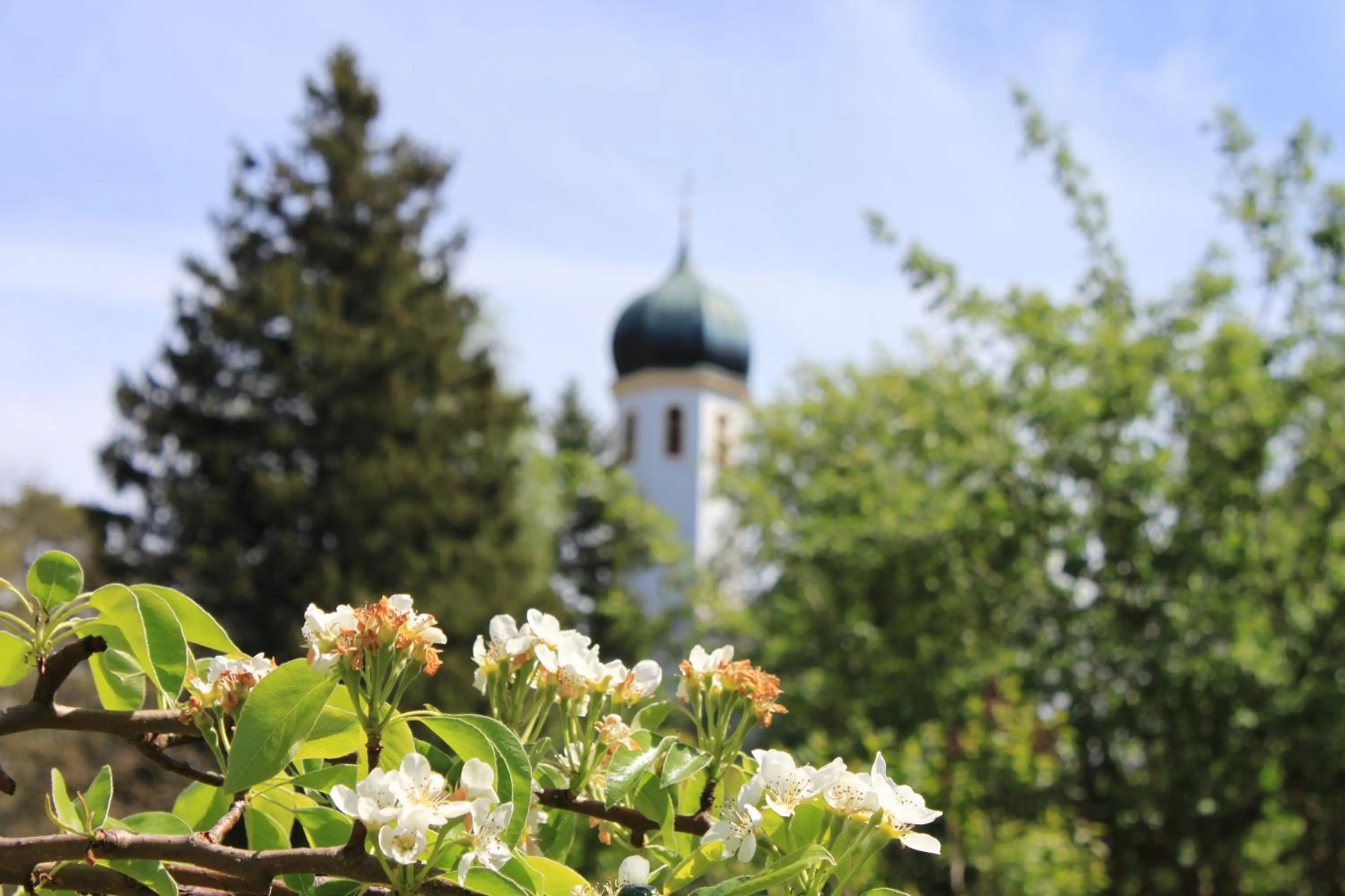 Spring in Romantik Hotel Chalet am Kiental