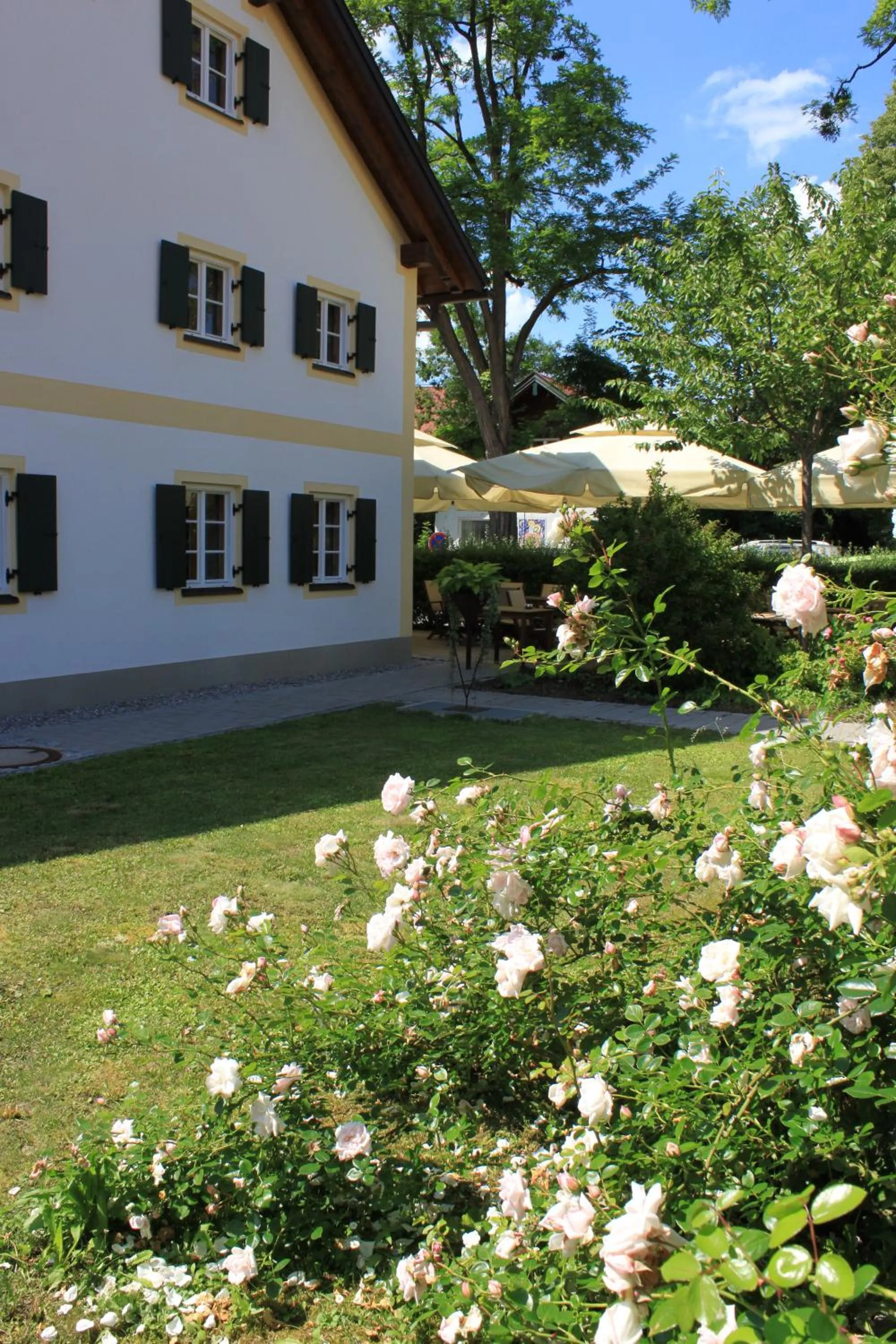 Garden in Romantik Hotel Chalet am Kiental