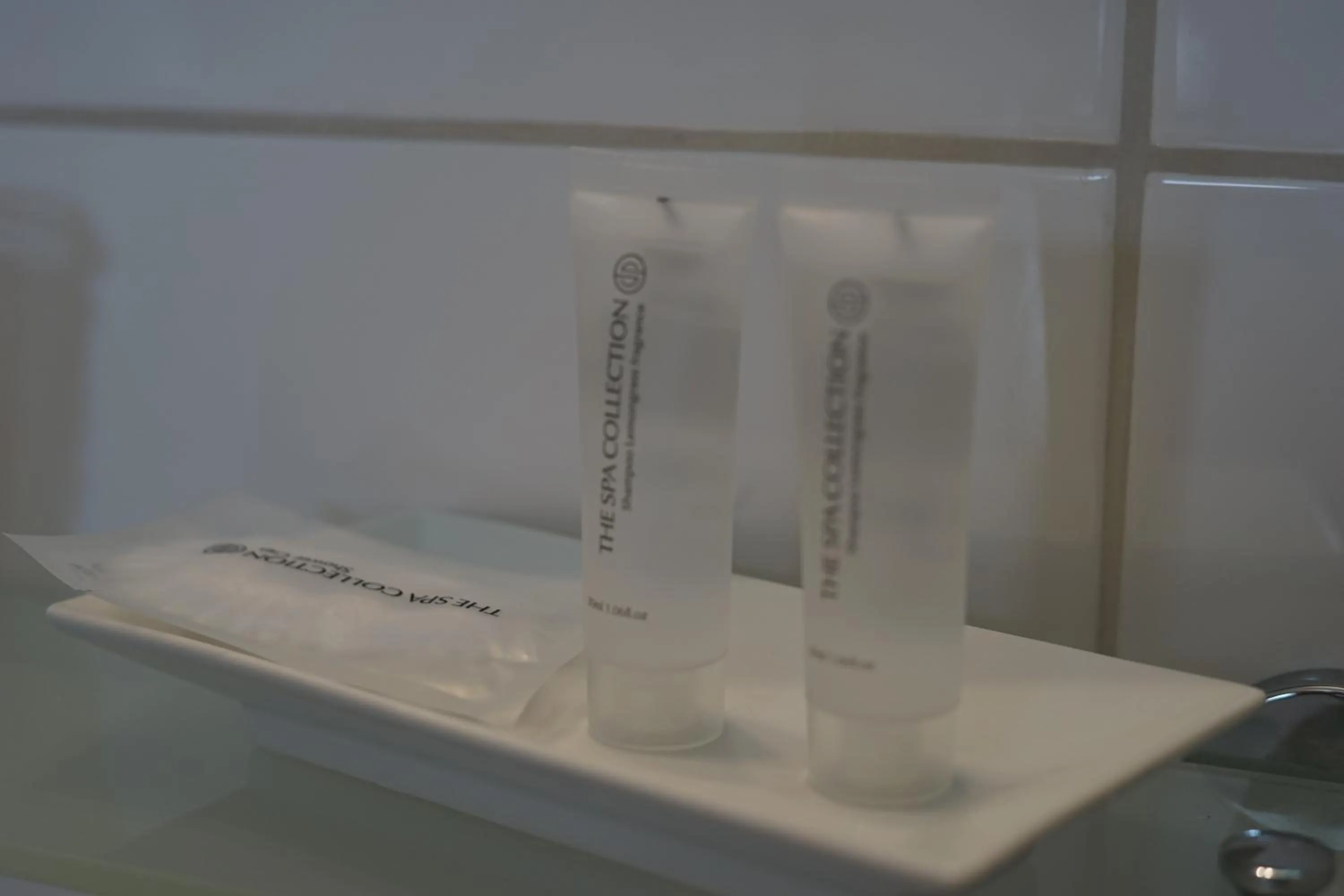 Shower in De Gulden Waagen