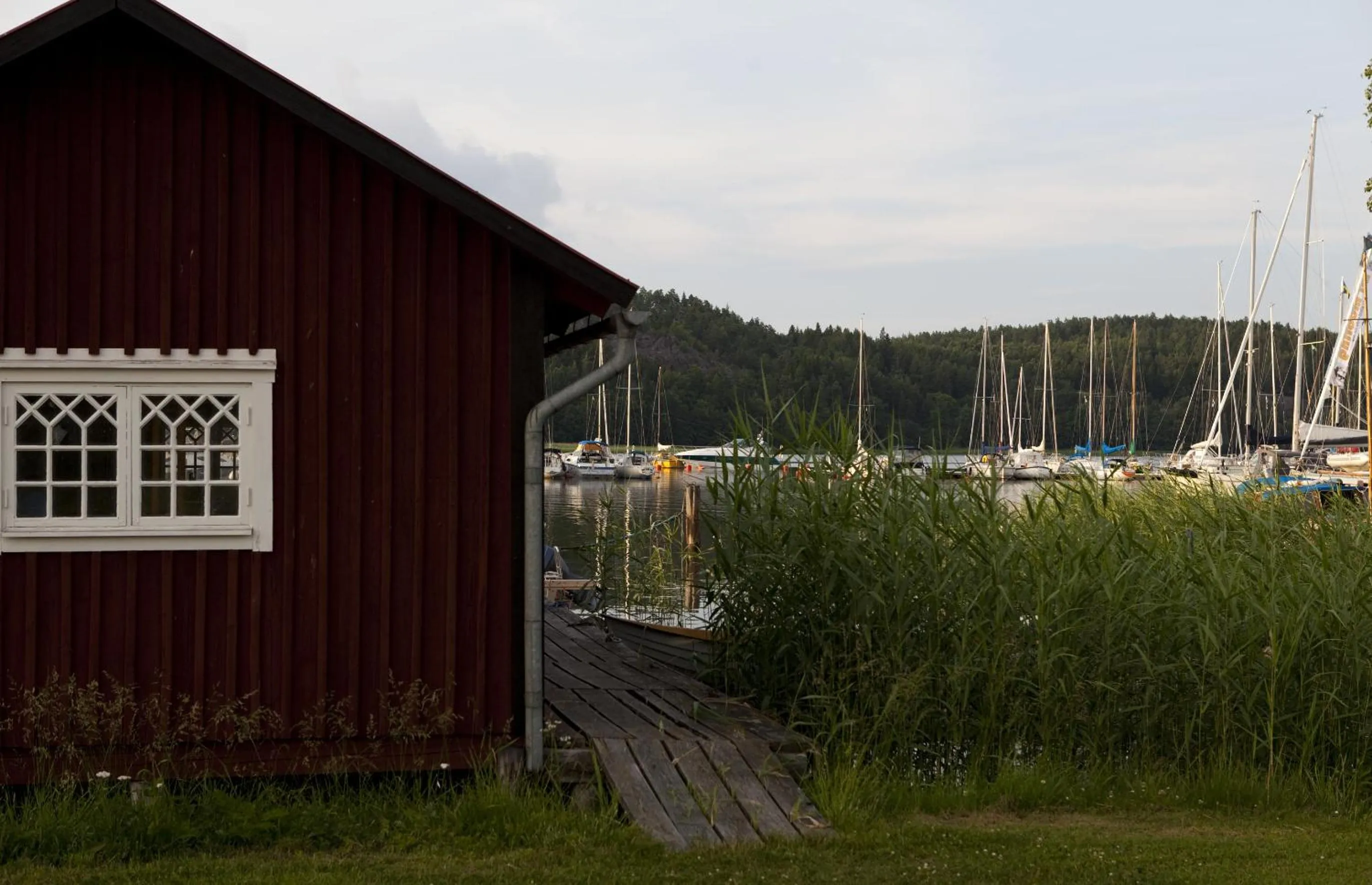Area and facilities in Stegeborg Trädgårdshotell