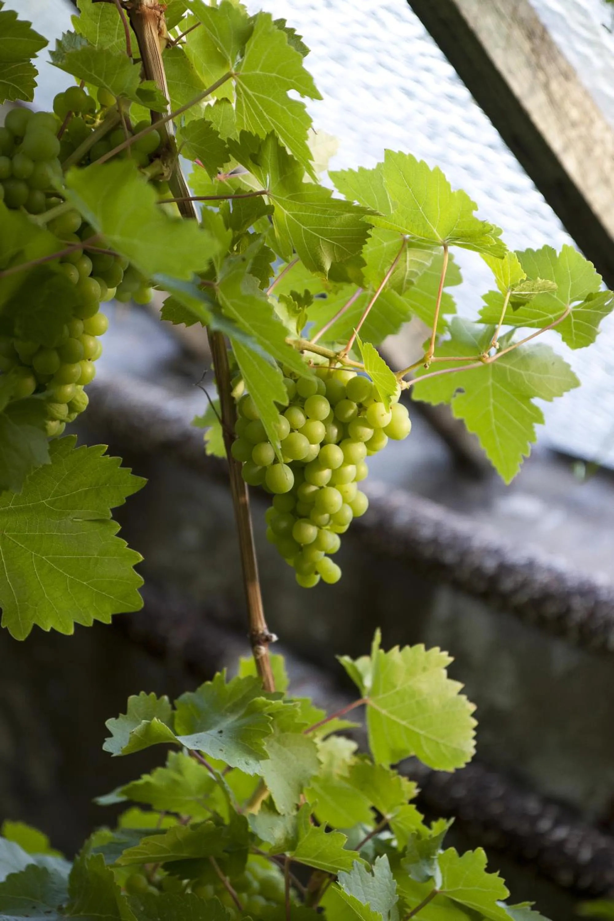 Decorative detail in Stegeborg Trädgårdshotell