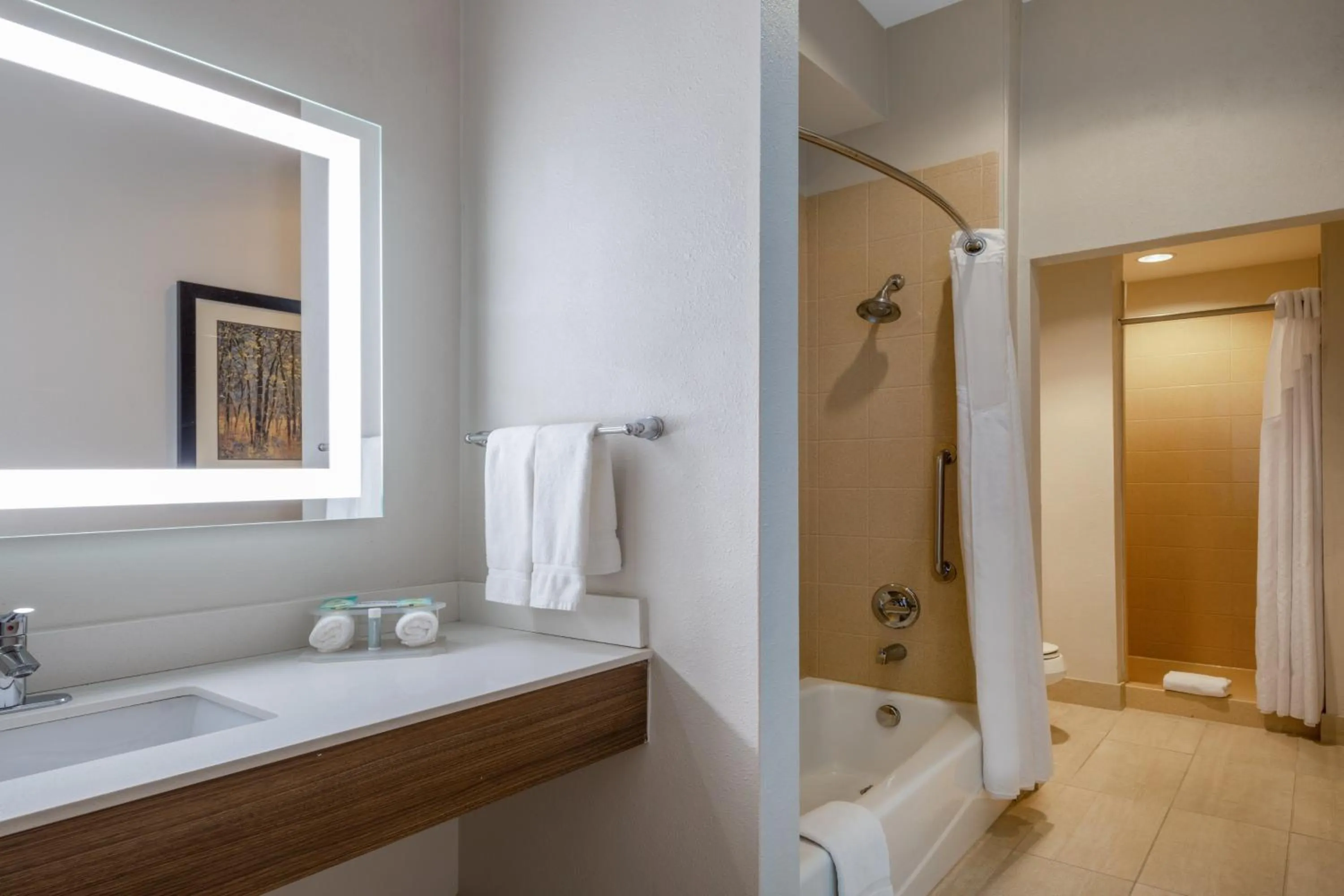 Bathroom in Holiday Inn Express & Suites Dallas East - Fair Park by IHG