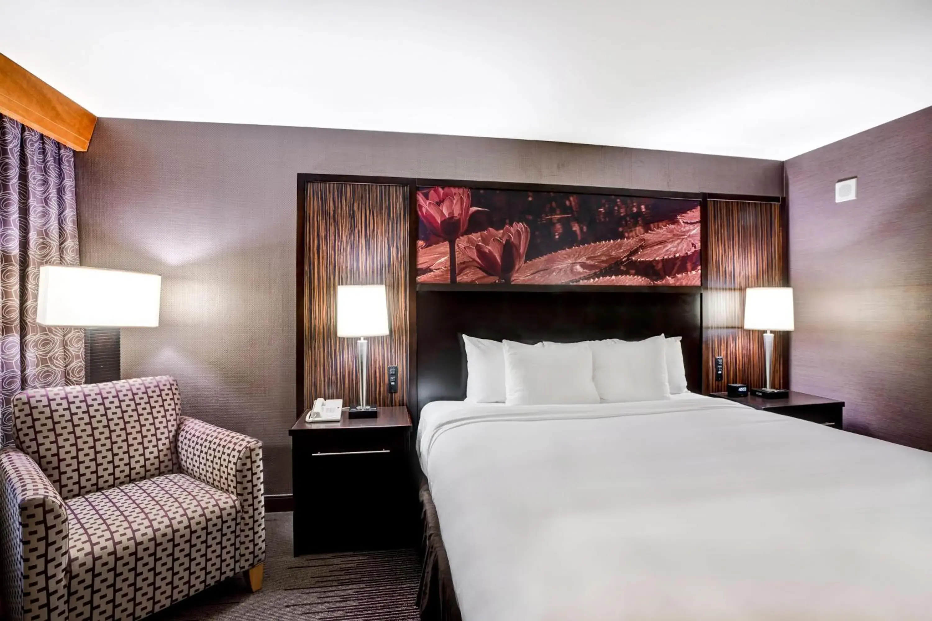 Executive Level Queen Room - Disability Access in DoubleTree by Hilton Downtown Wilmington - Legal District Executive Level Queen Room - Disability Access in DoubleTree by Hilton Downtown Wilmington - Legal District