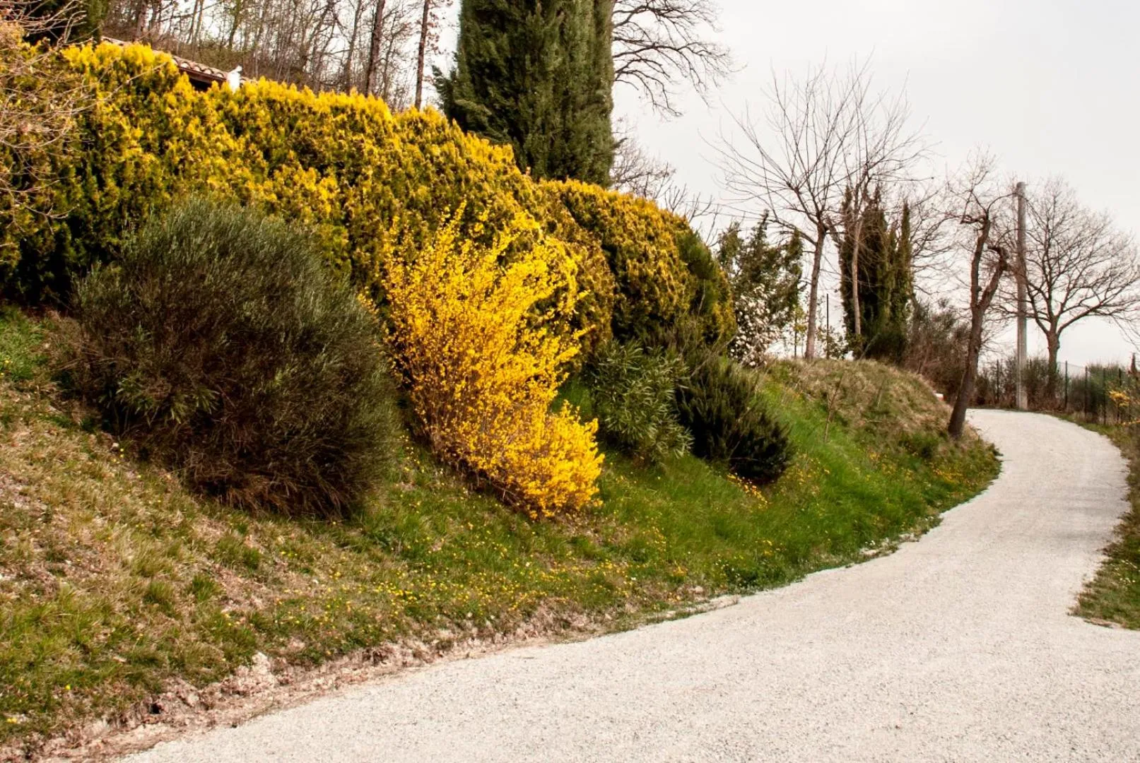 Facade/entrance in Calmancino delle Selve