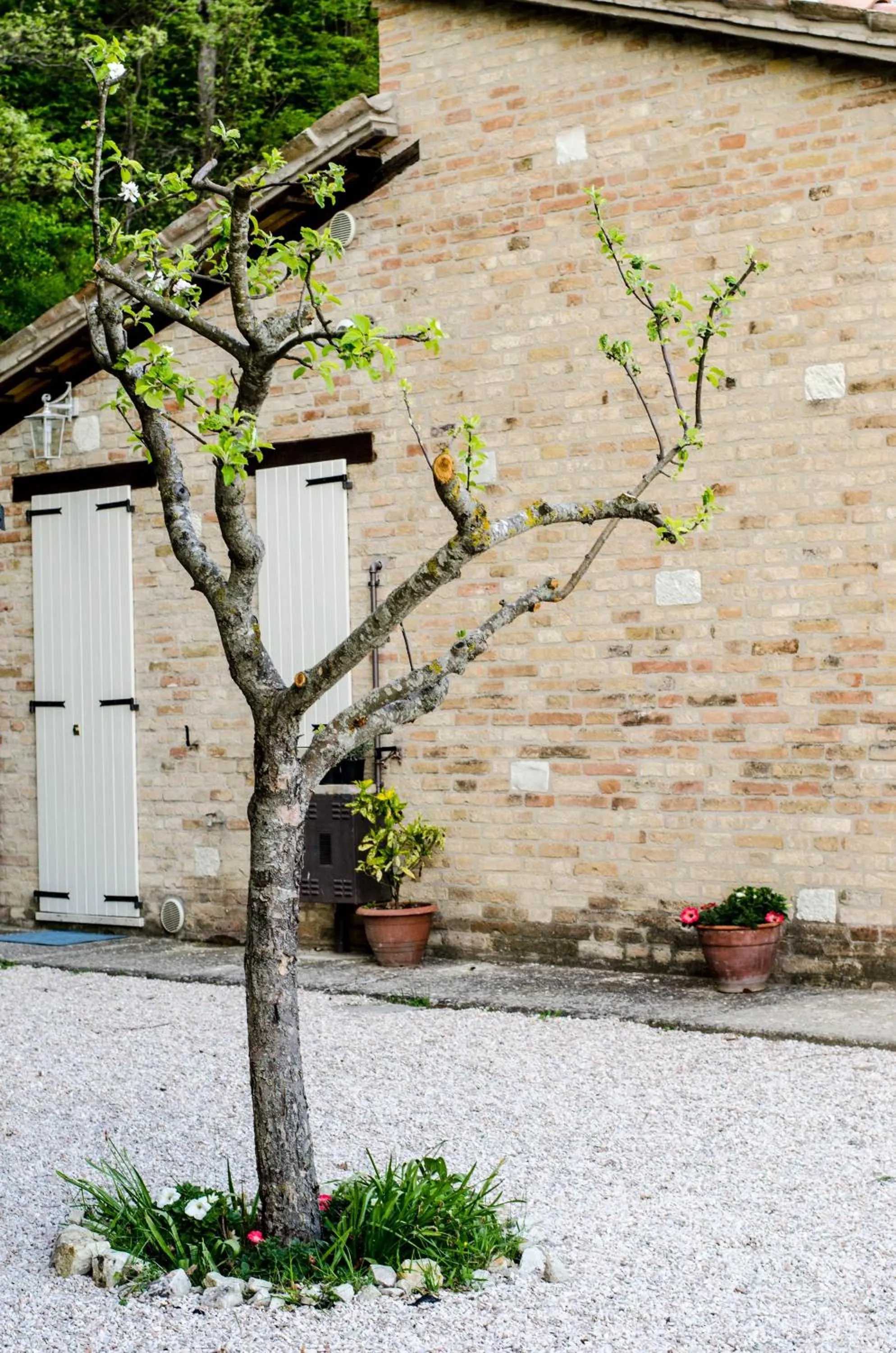 Property building in Calmancino delle Selve