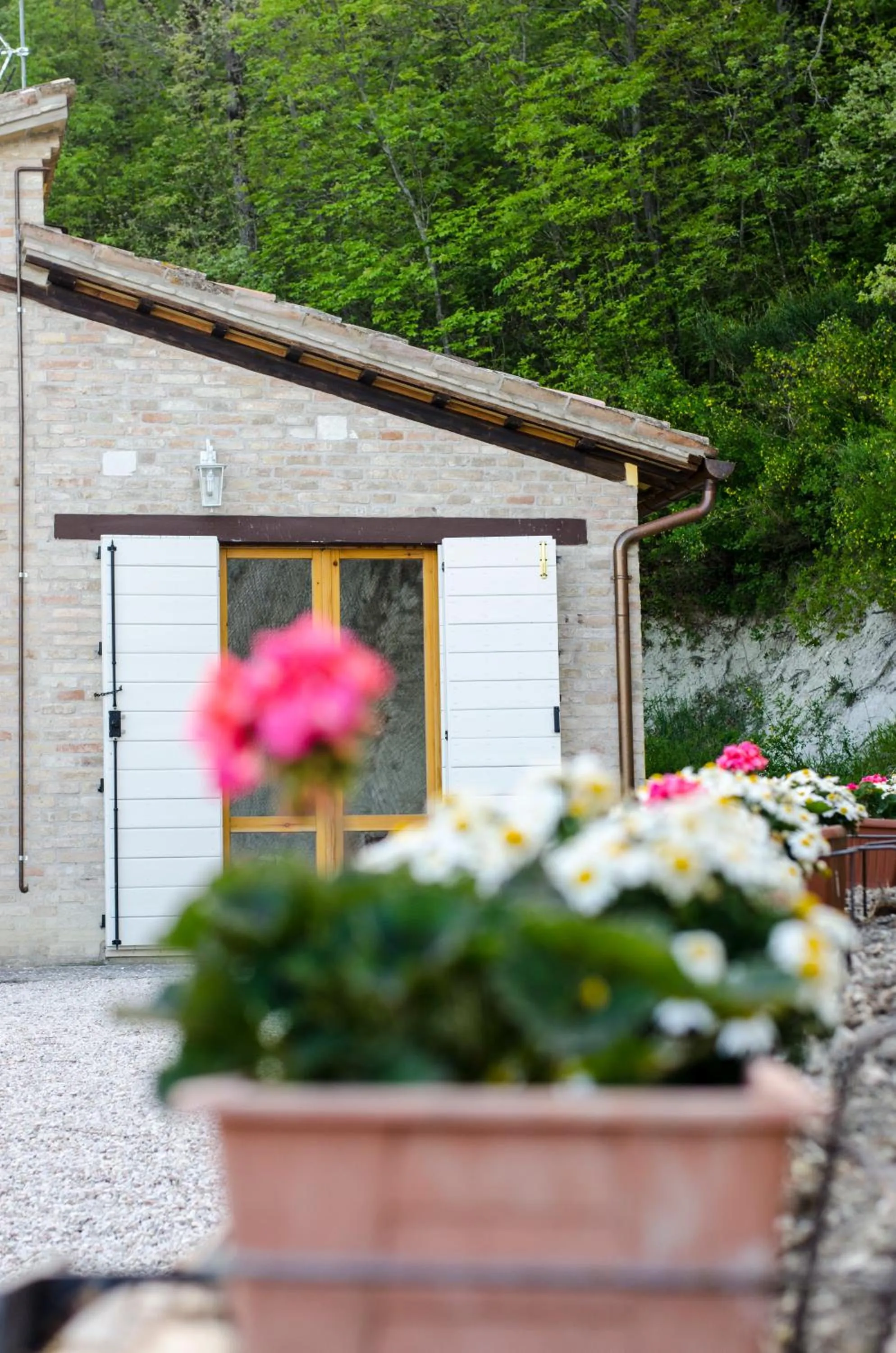 Property building in Calmancino delle Selve