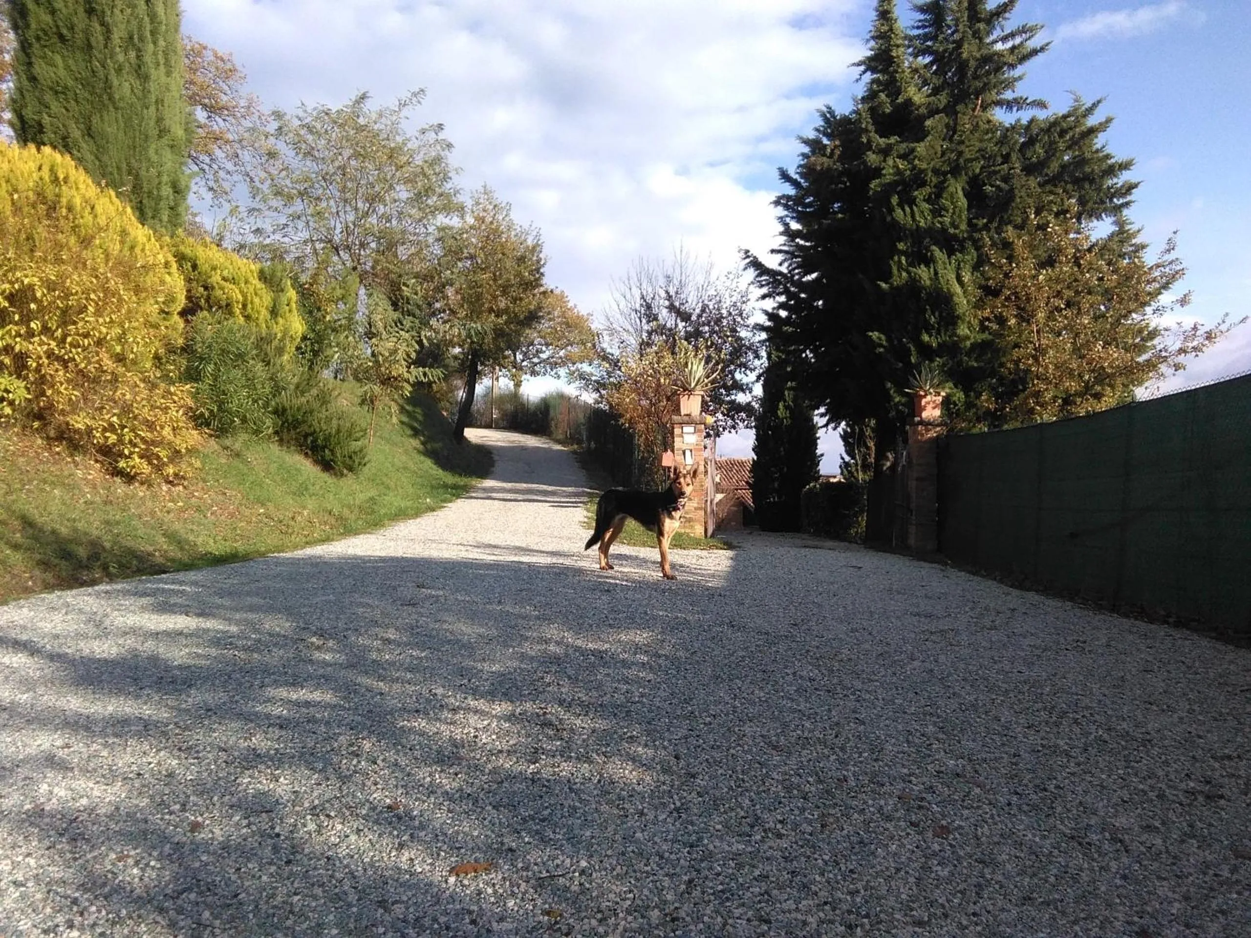 Facade/entrance in Calmancino delle Selve