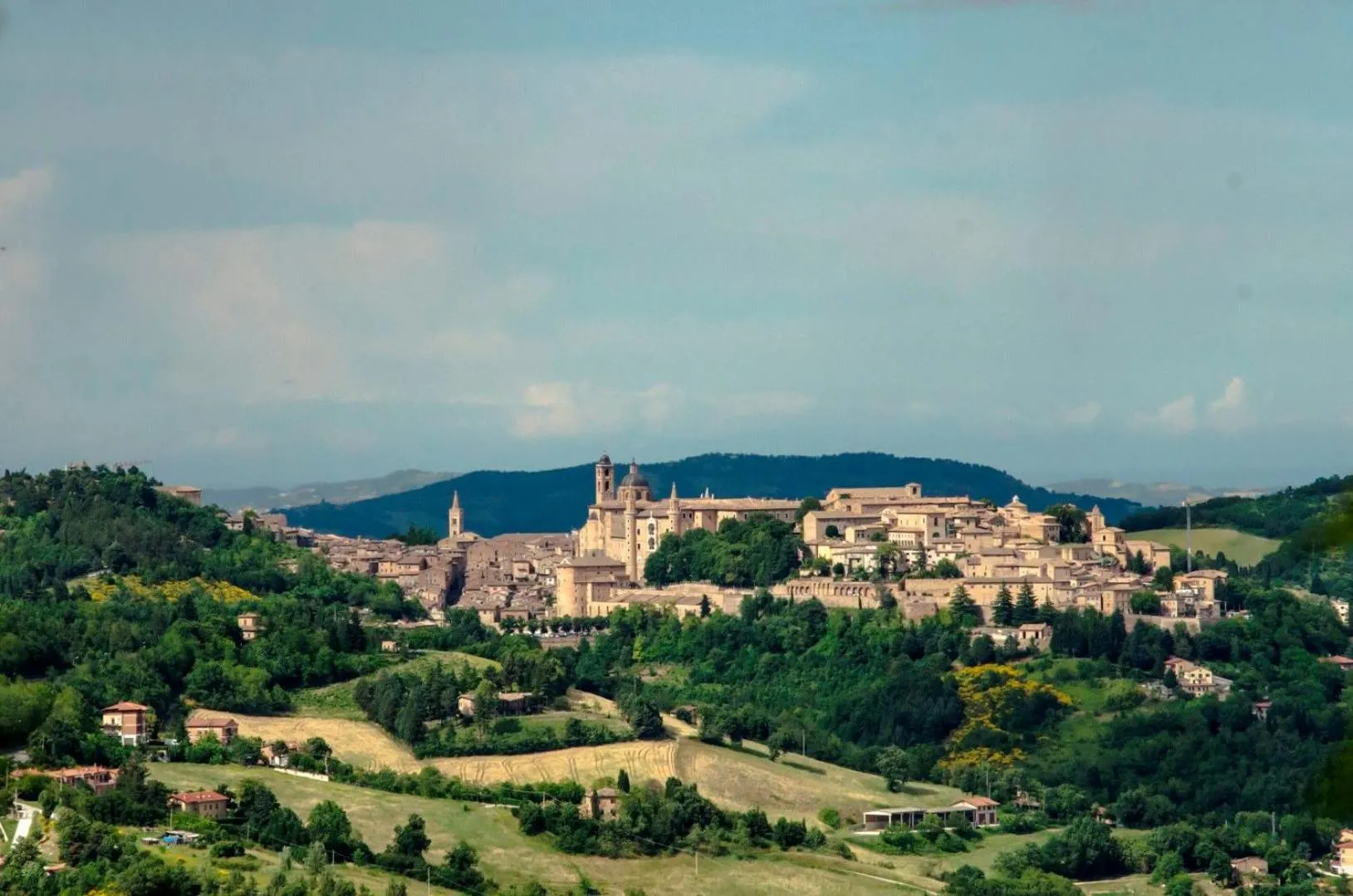 Neighbourhood in Calmancino delle Selve