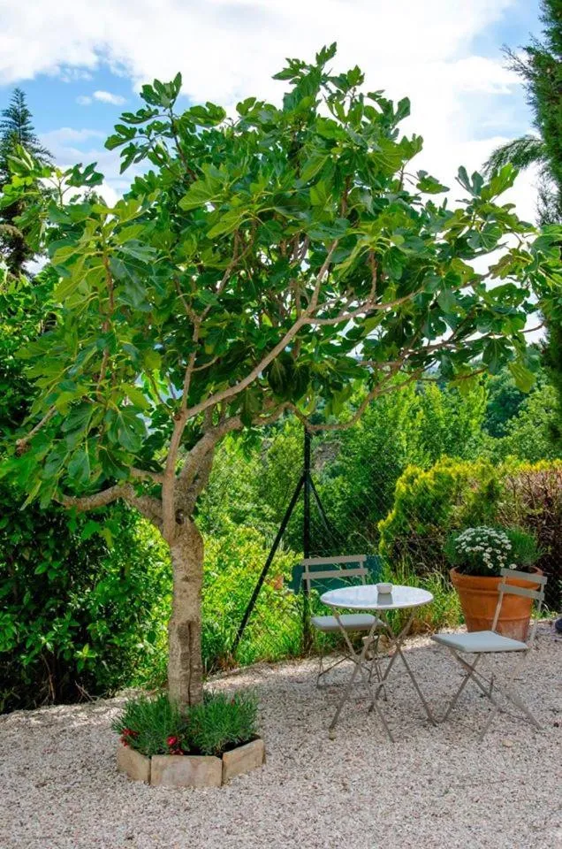 Garden in Calmancino delle Selve