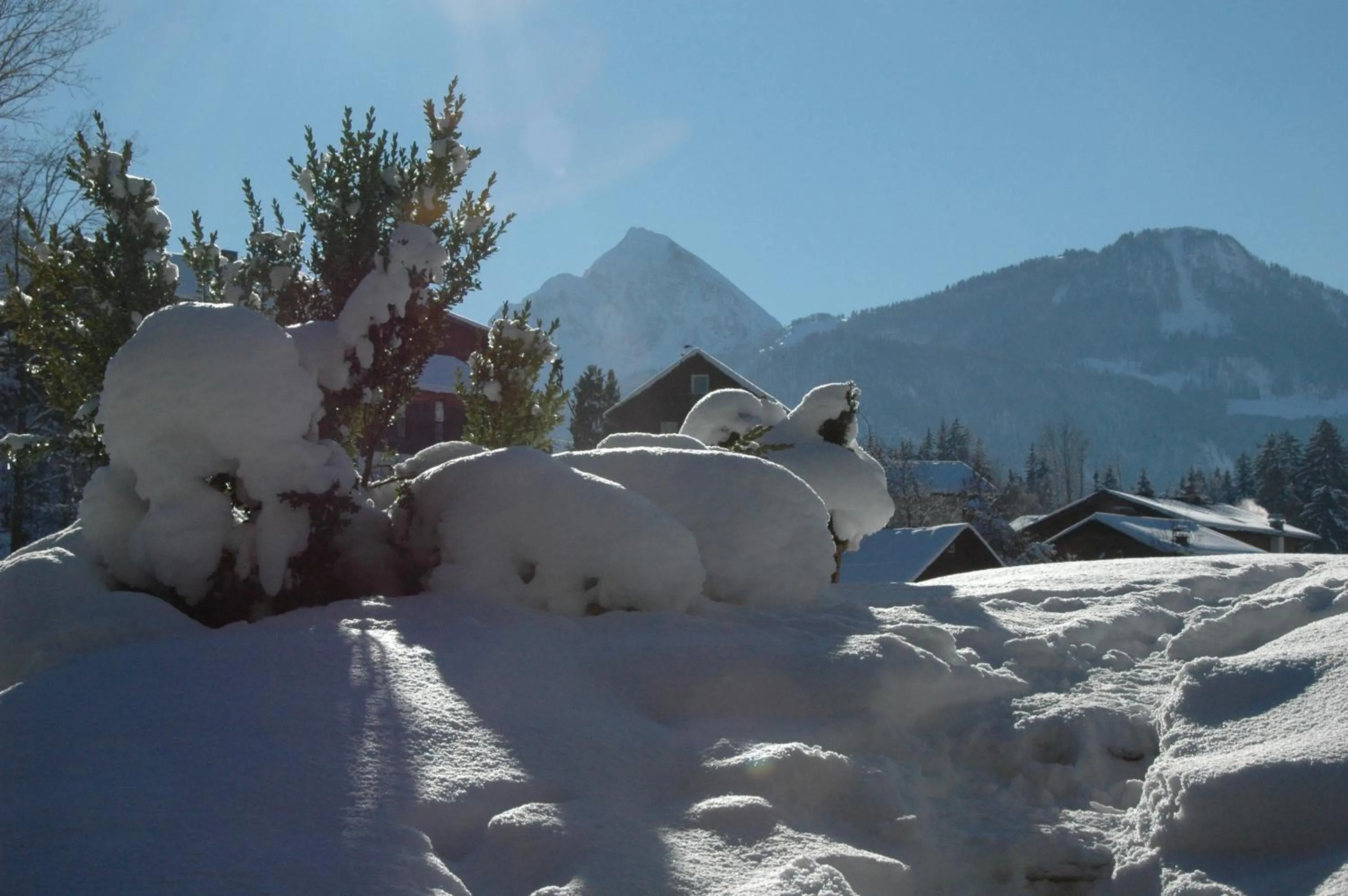 Natural landscape in Hotel zur Post