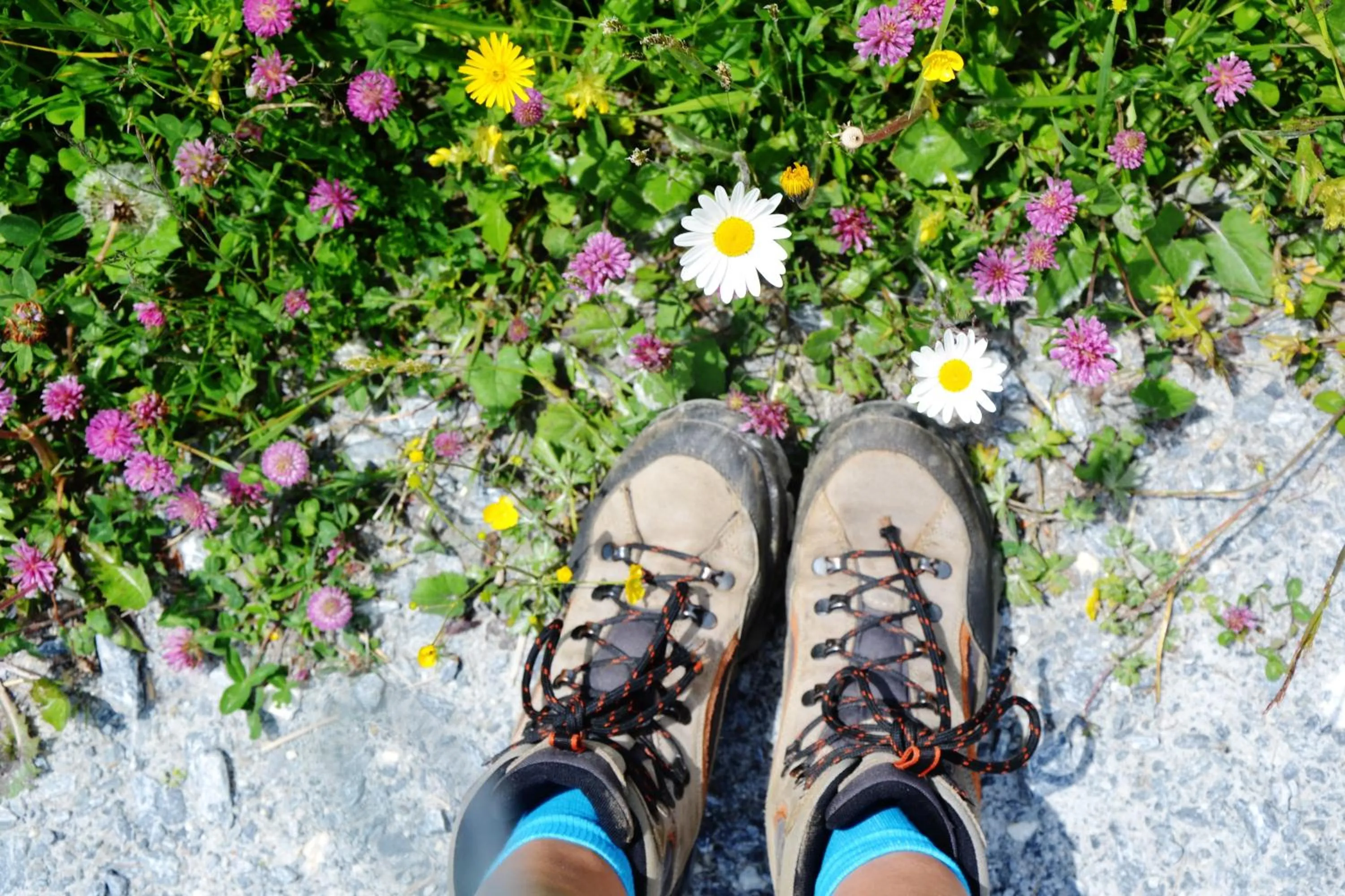 Hiking in Hotel zur Post