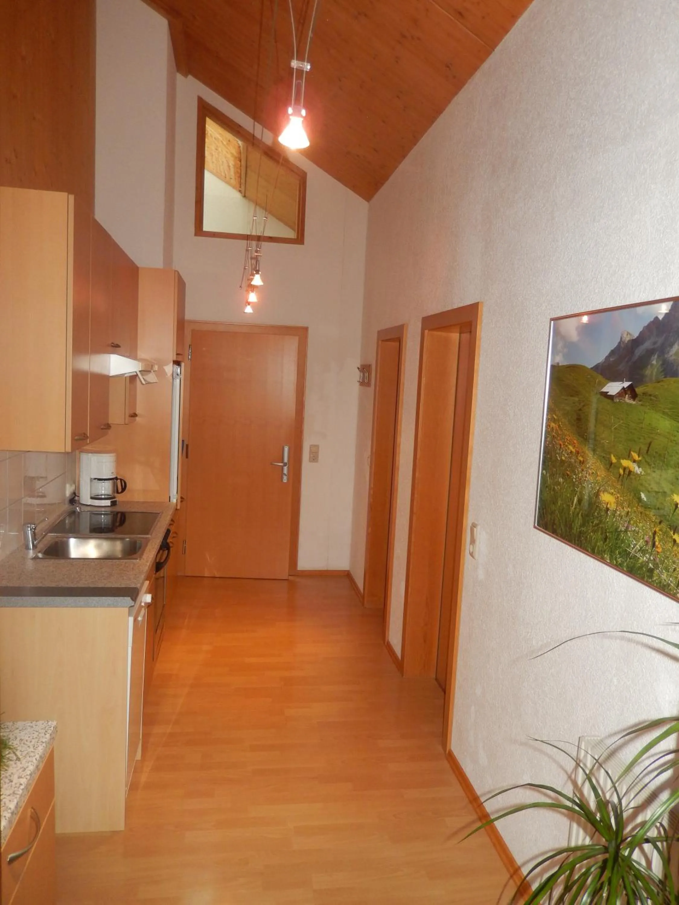 Kitchen or kitchenette in n Apartments Hotel