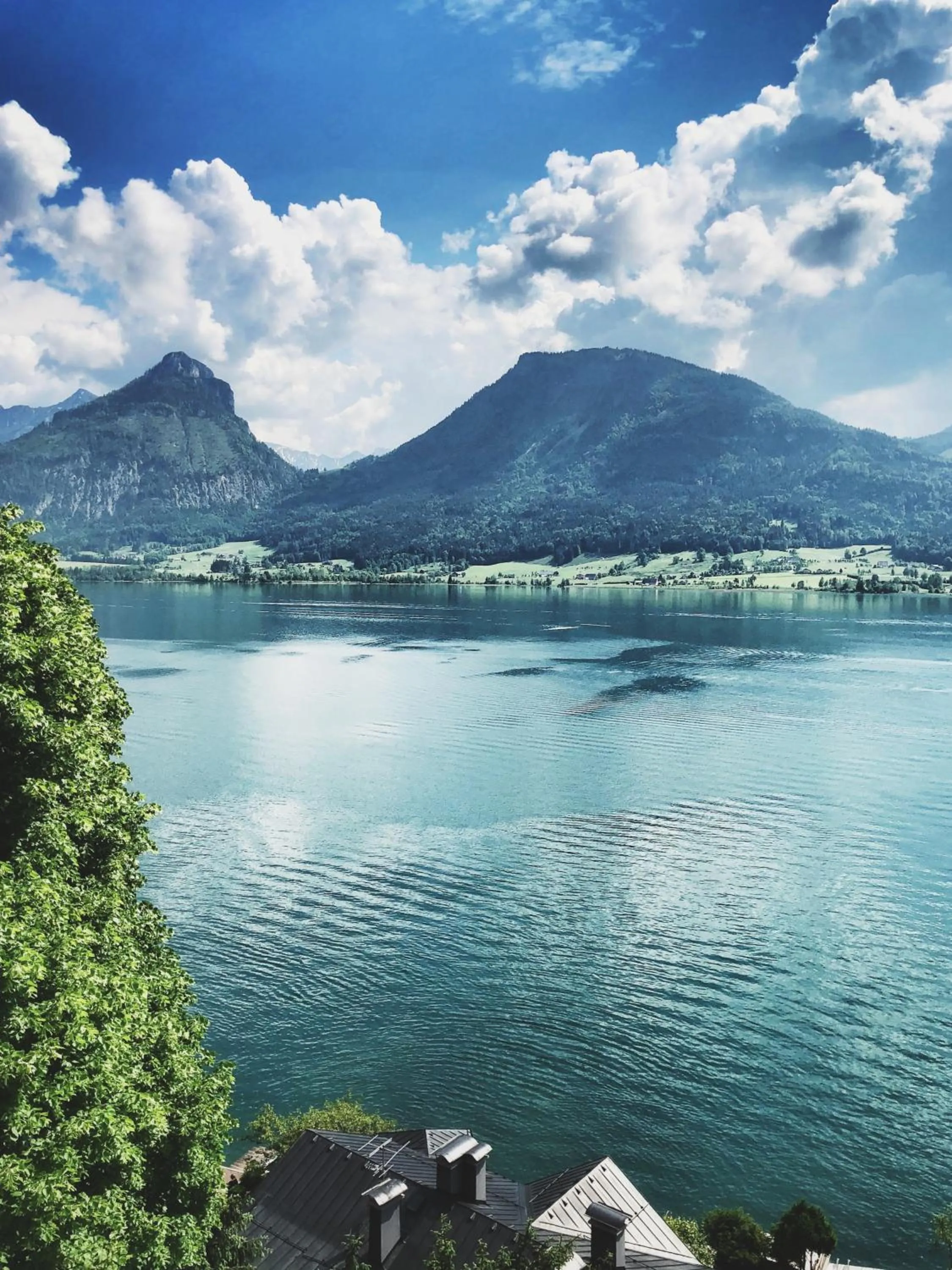 Natural landscape in Hotel Peter