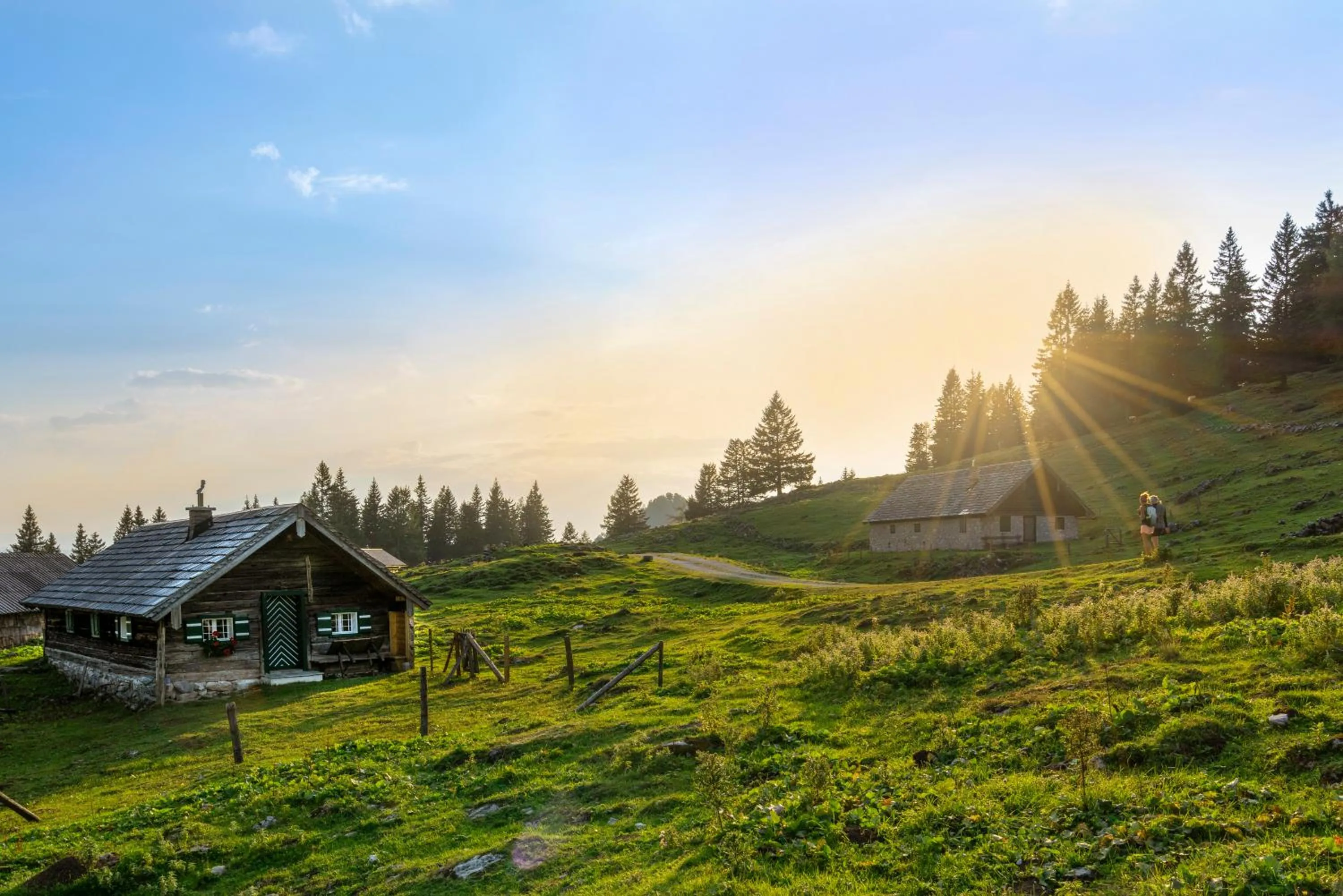 Natural landscape in Hotel Peter