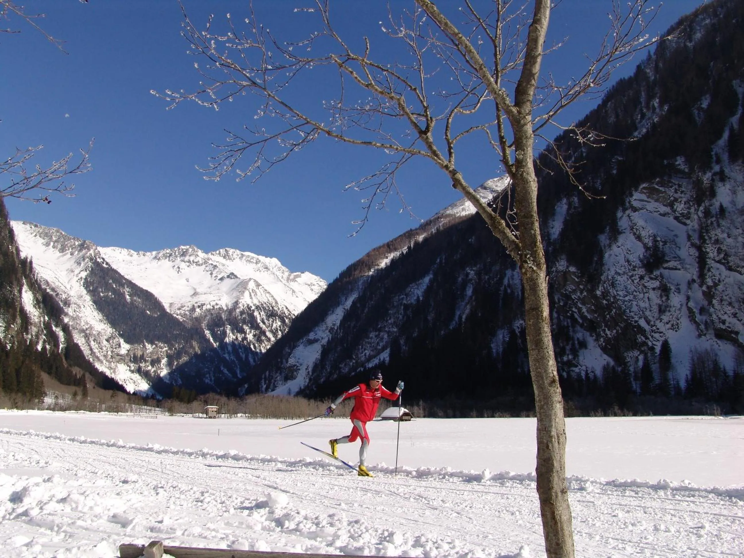 Skiing in Ferienhotel Alber