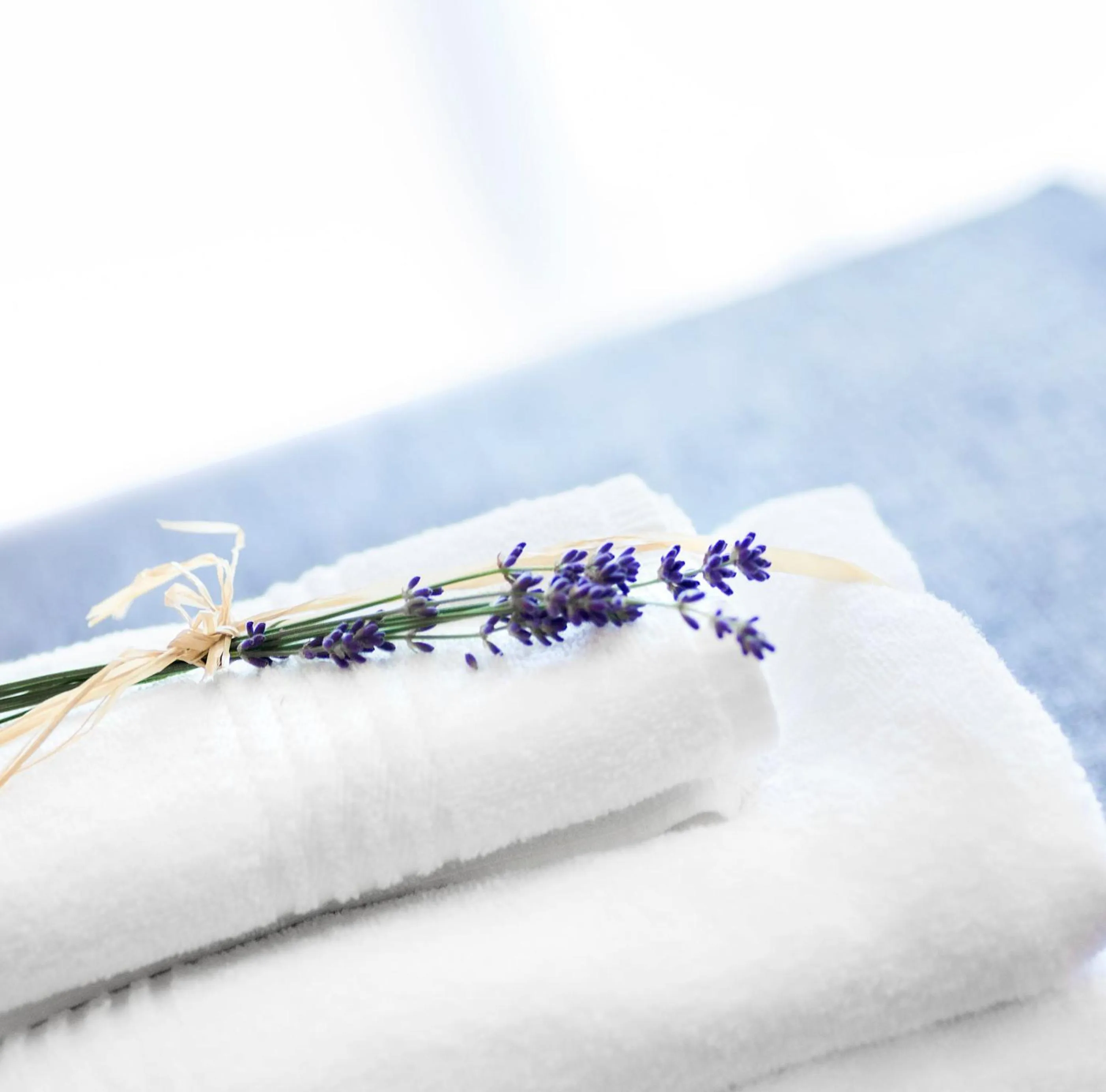 Other in Landhaus Pannonia