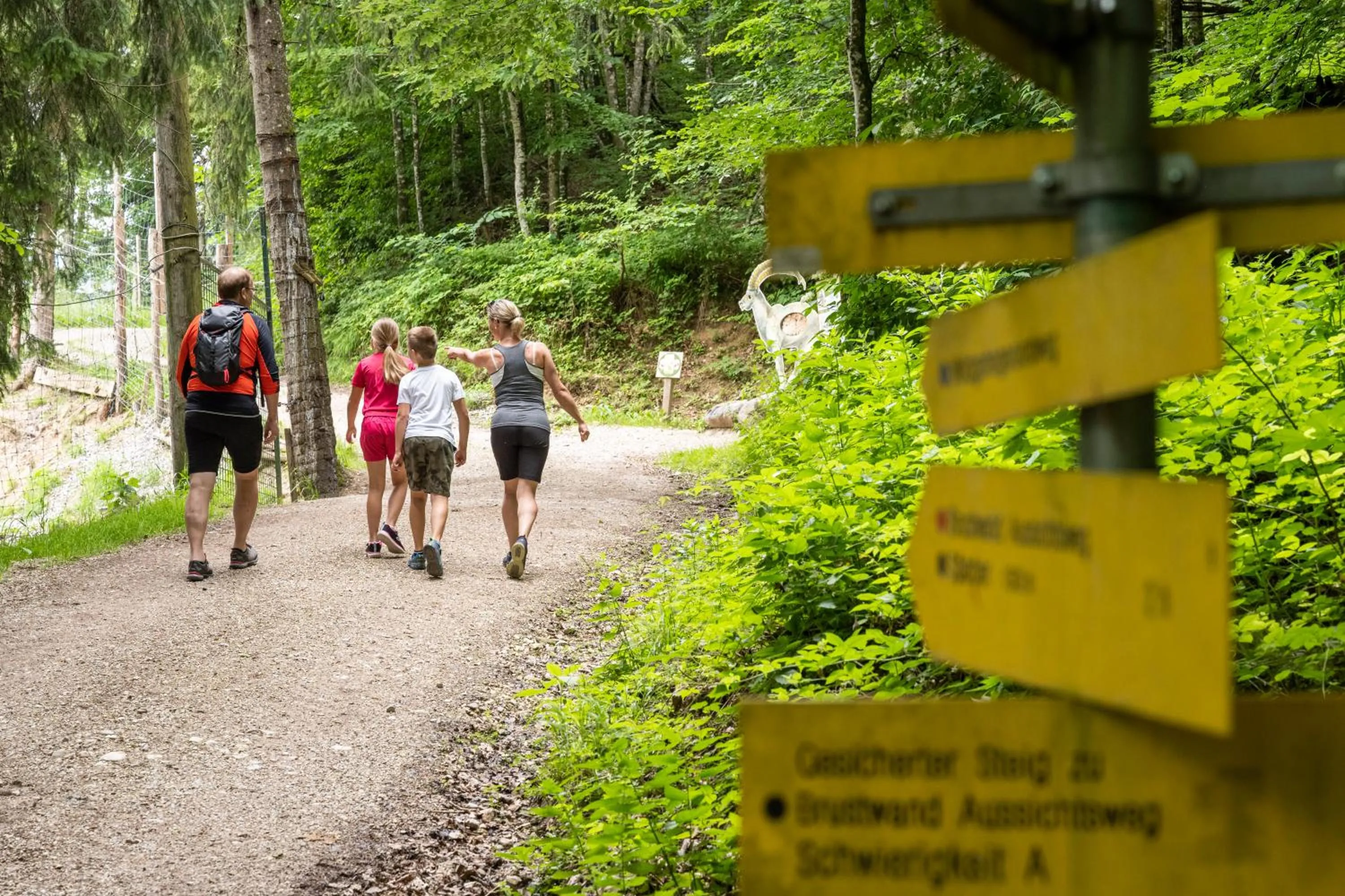 Hiking in Gasthof Kleefeld