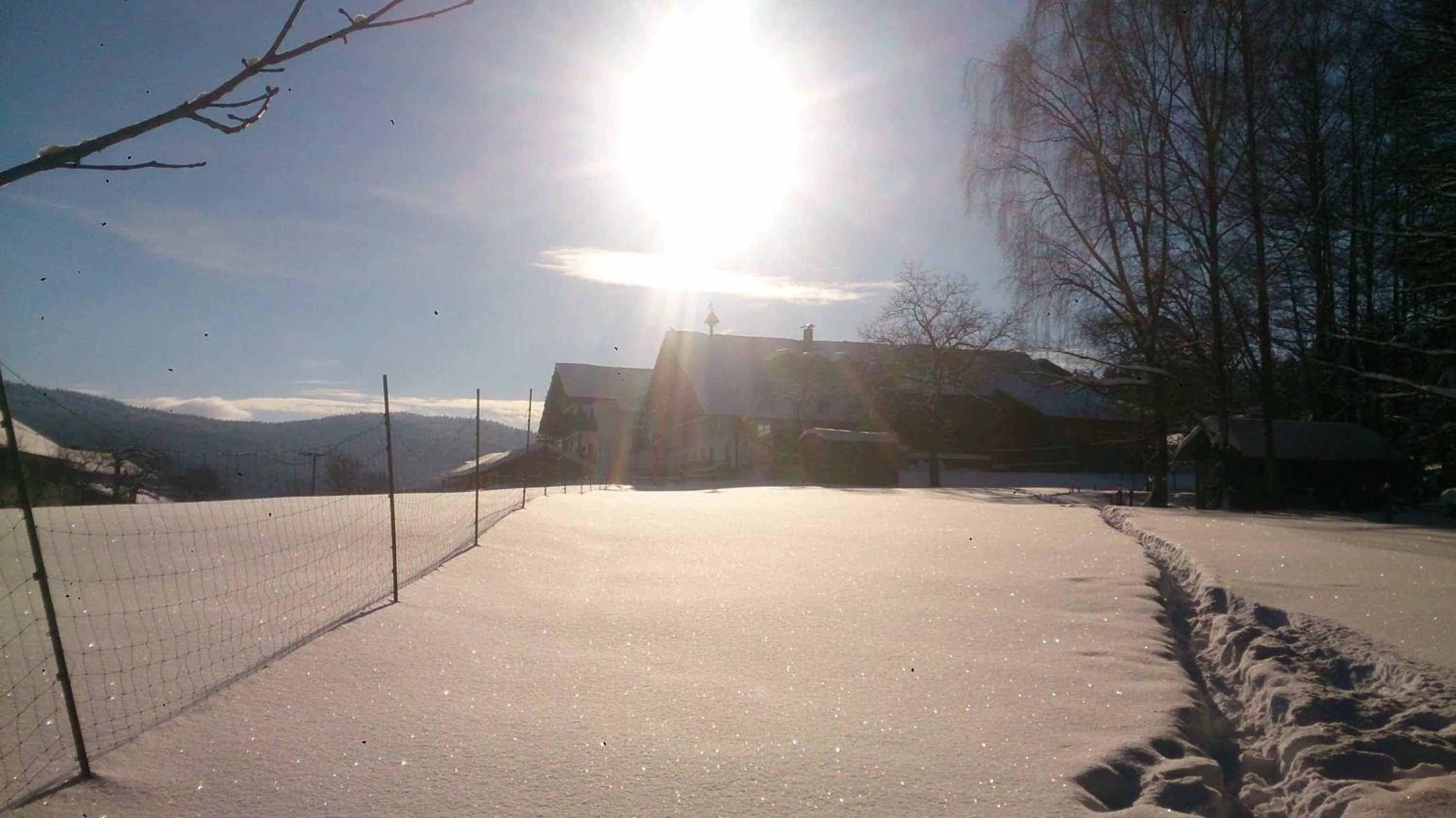 Natural landscape in Hotel Hirschenstein