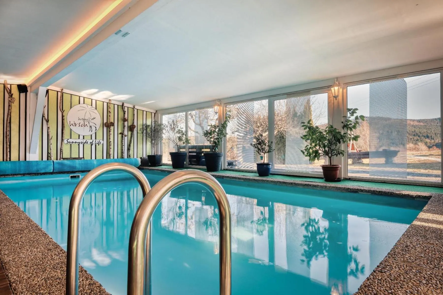 Swimming pool in Hotel Hirschenstein