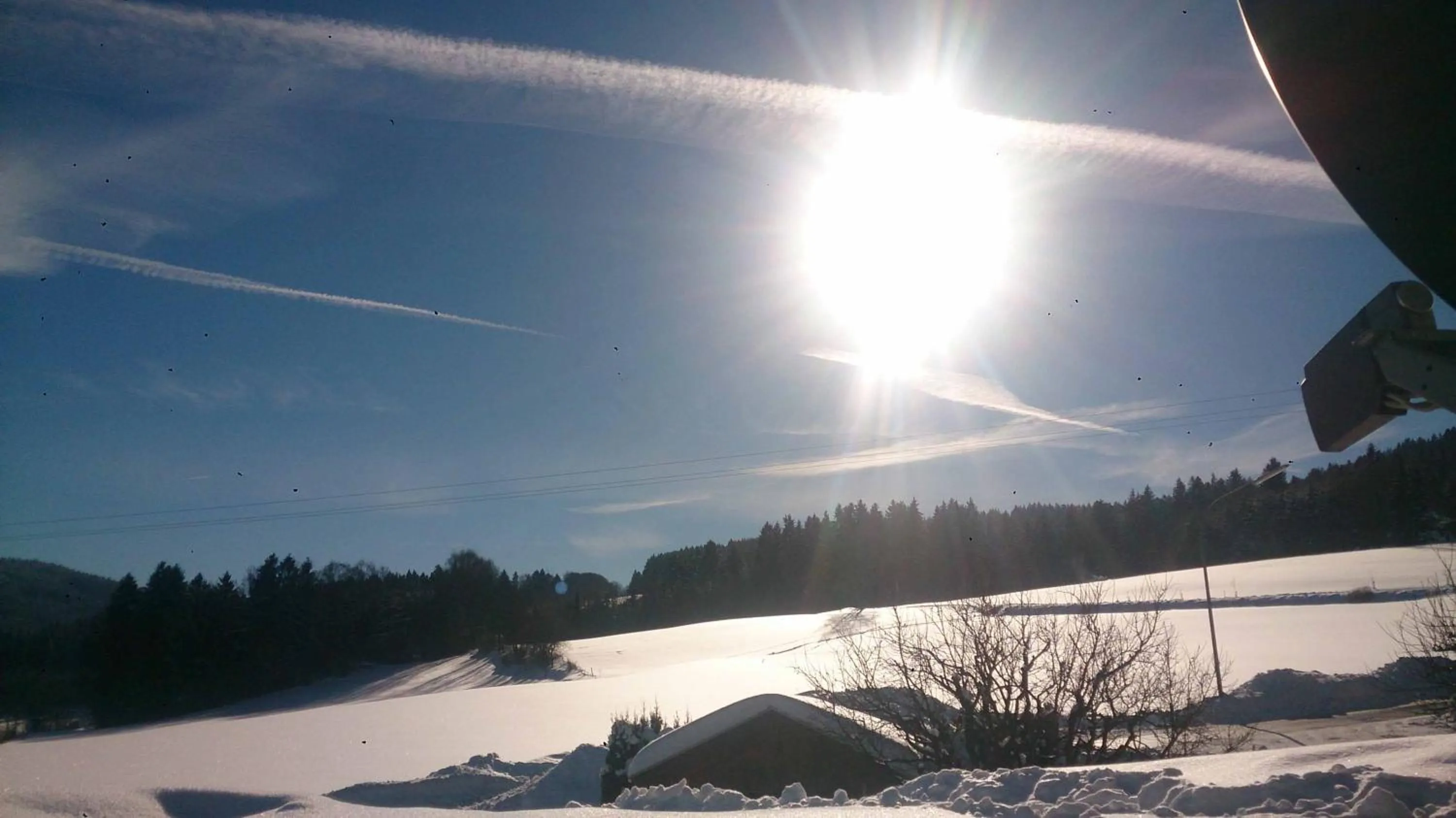 Area and facilities in Hotel Hirschenstein
