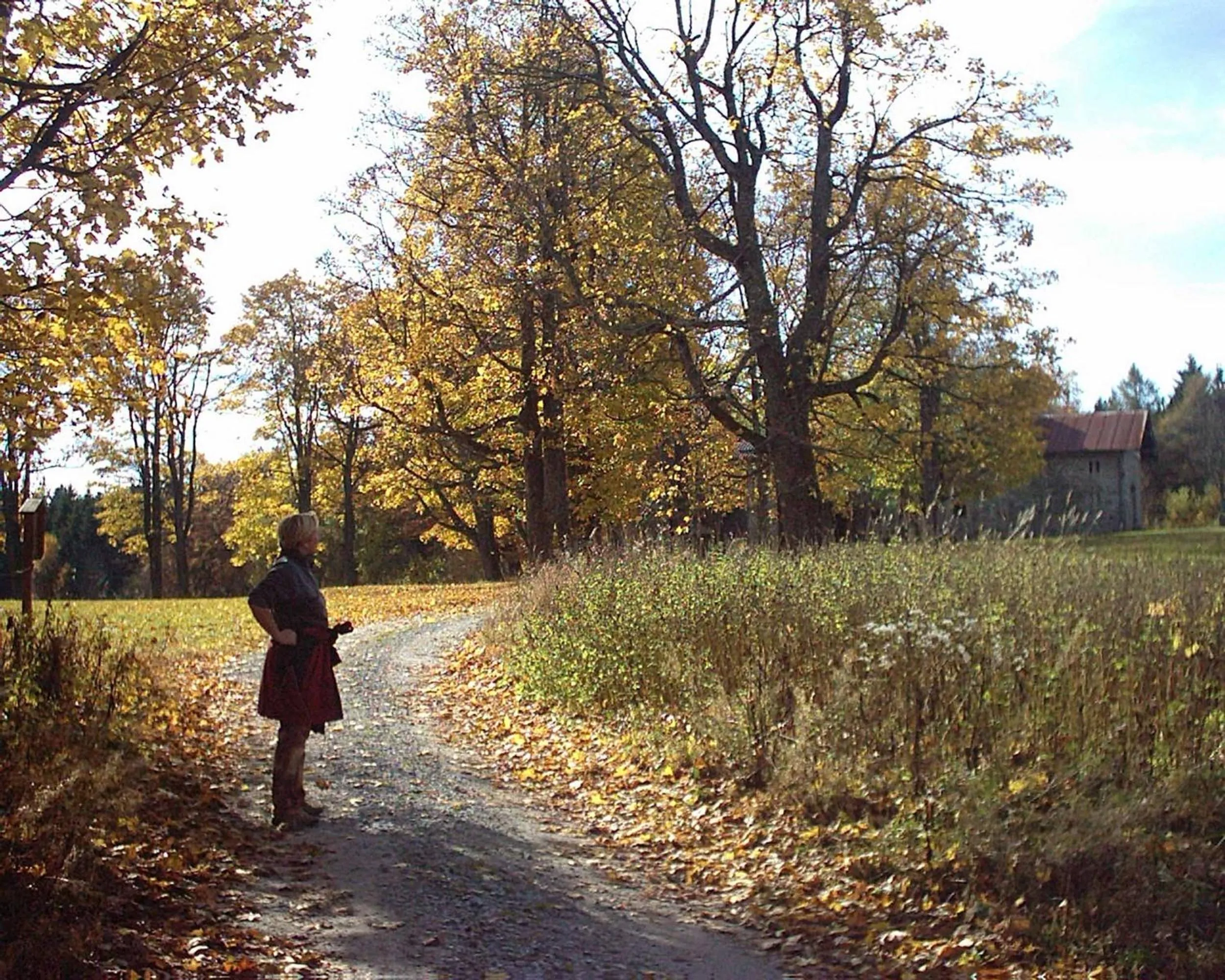 Other in Hotel Hirschenstein