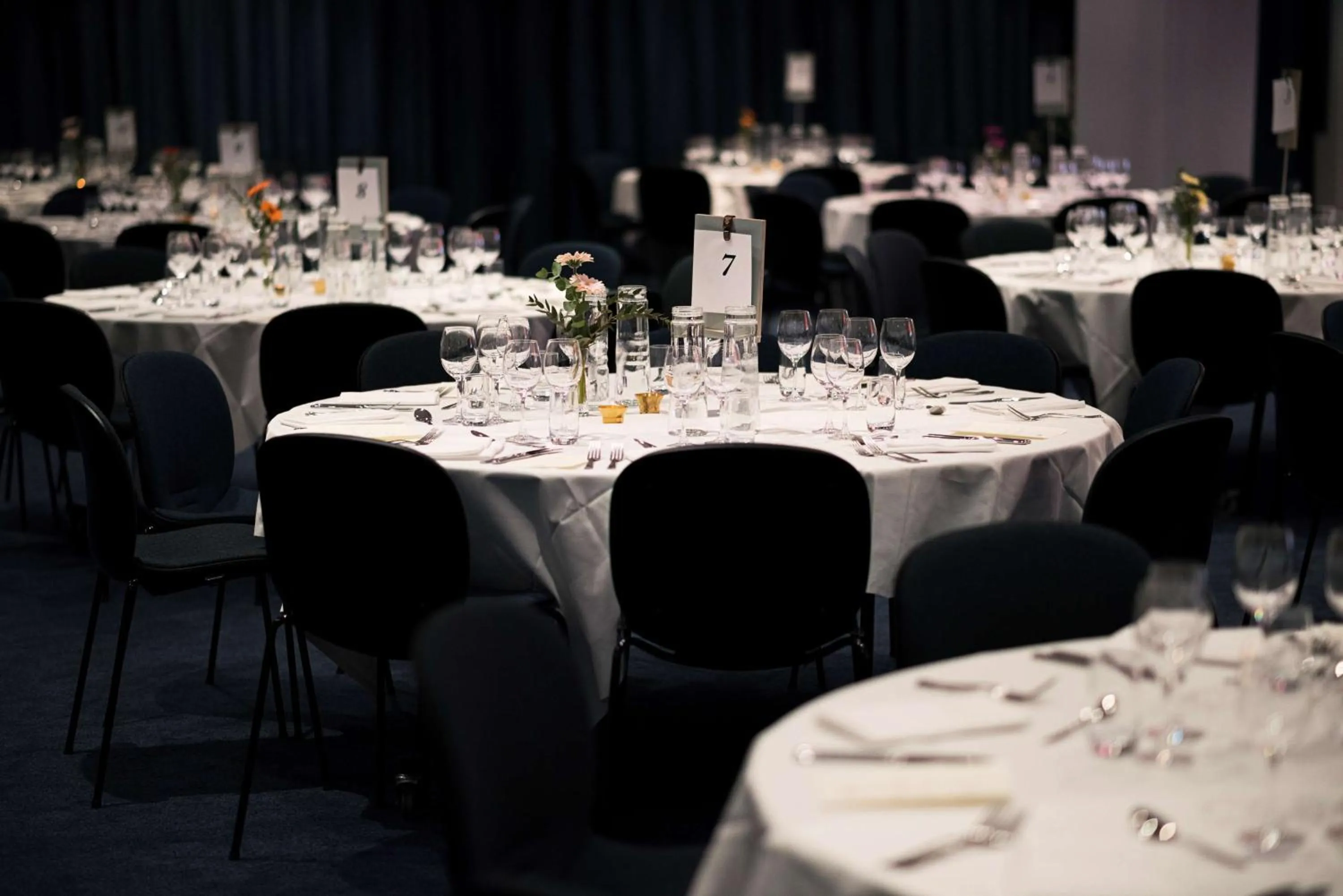 On site in Scandic Crown