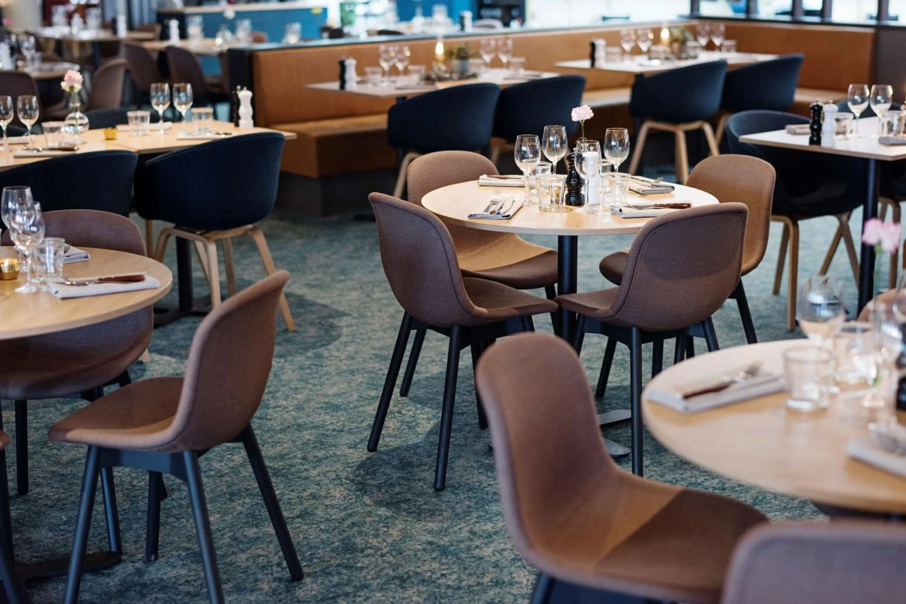 Restaurant/places to eat in Scandic Crown