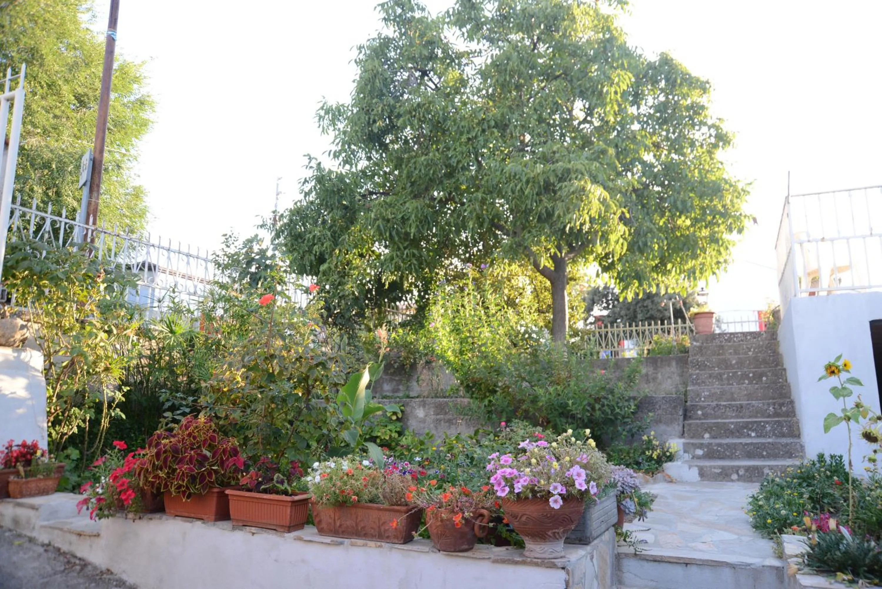 Balcony/Terrace in Sa Nuche