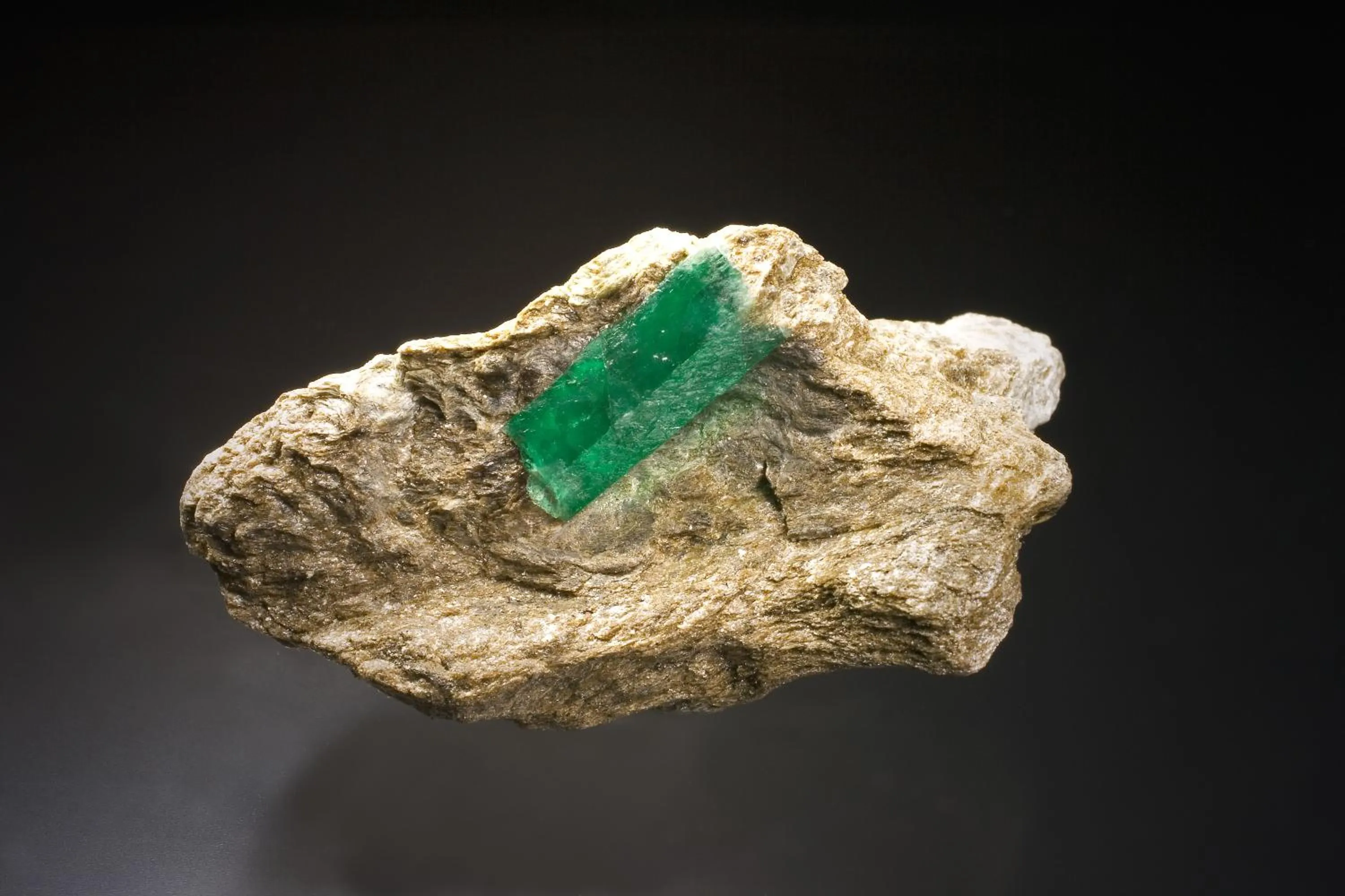 Other in Smaragdhotel Tauernblick