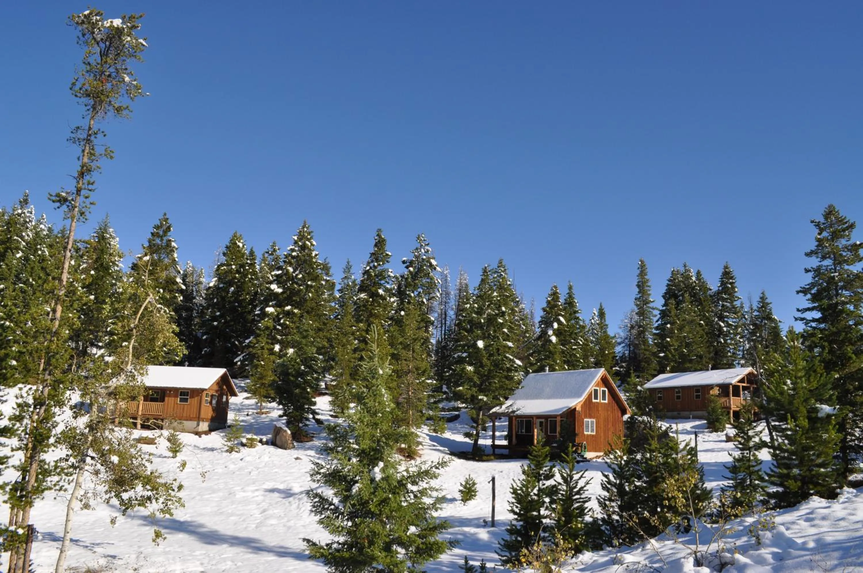 Natural landscape in Homestake Lodge