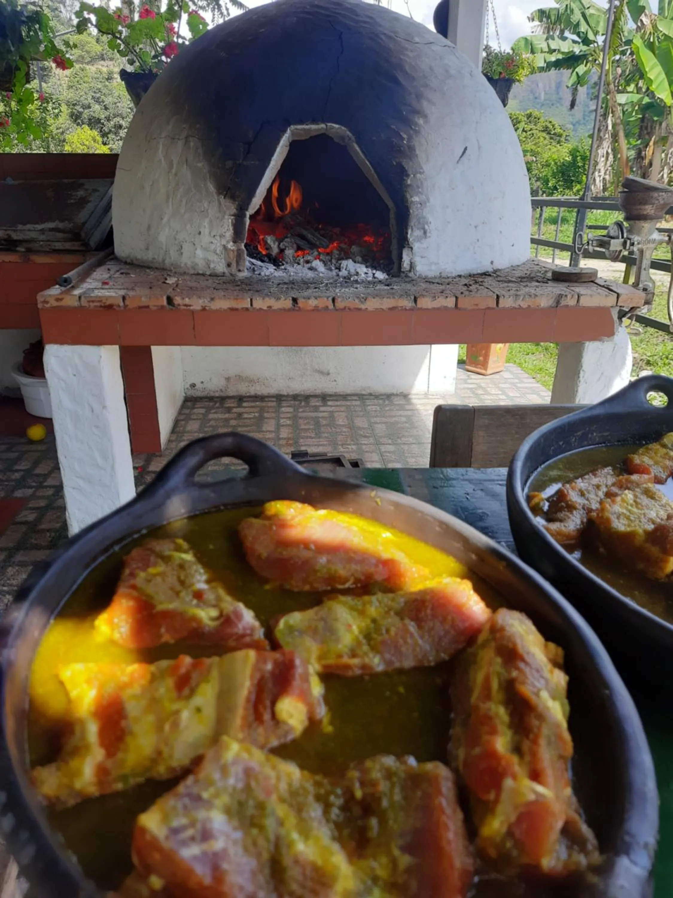 BBQ facilities in Hotel Campestre El Triunfo