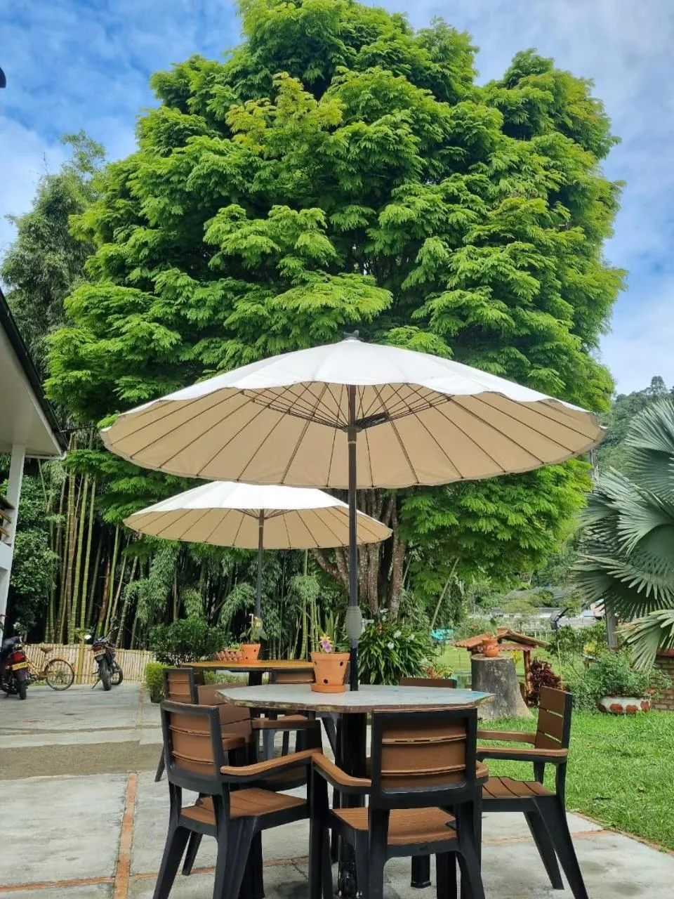 Patio in Hotel Campestre El Triunfo