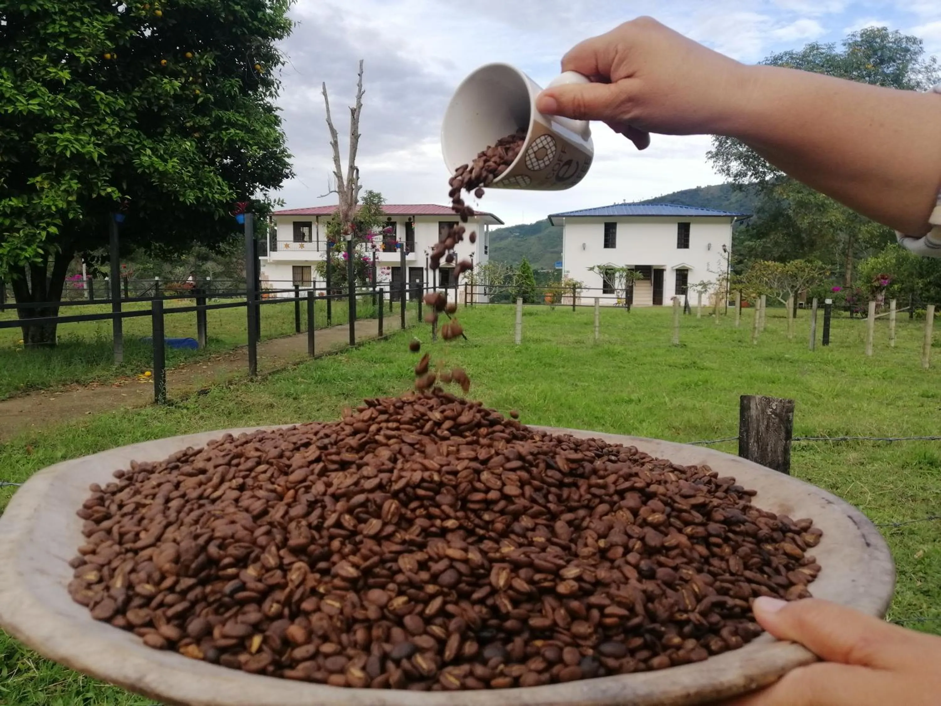 Property building in Hotel Campestre El Triunfo