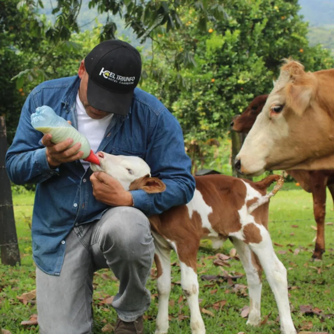 People in Hotel Campestre El Triunfo
