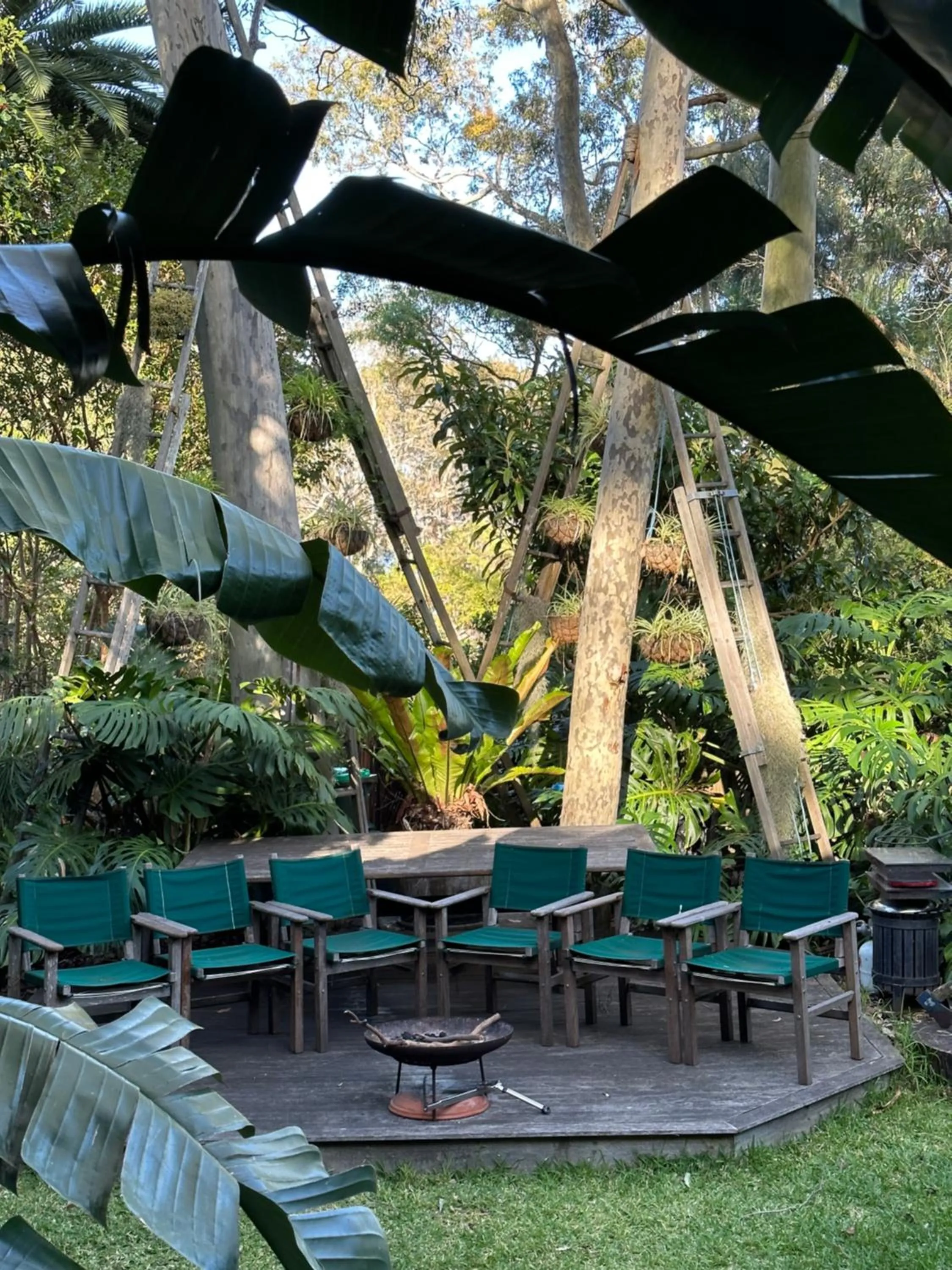 Garden view in Palm Beach Bed & Breakfast