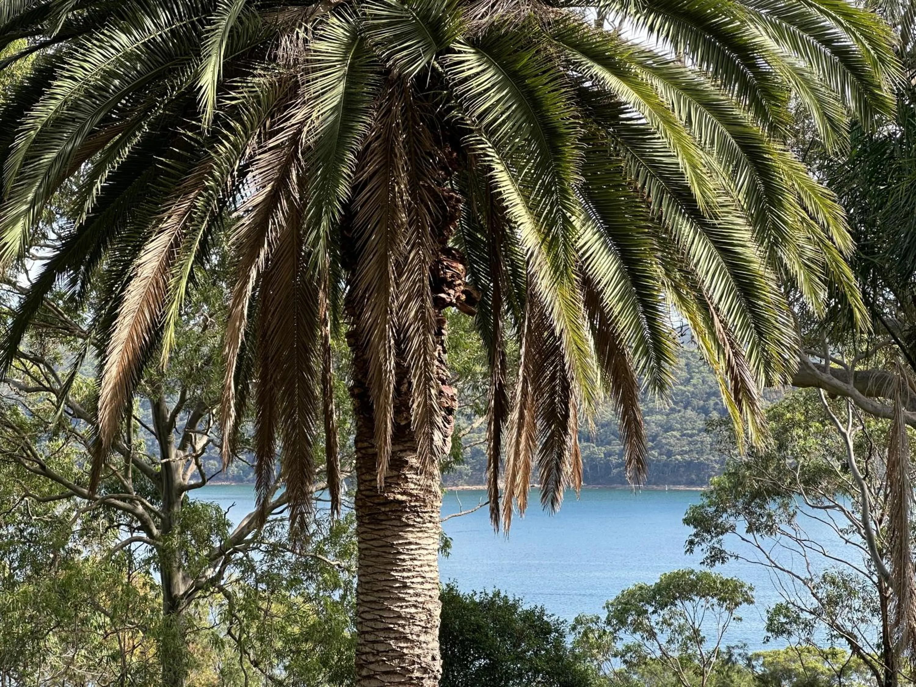 Natural landscape in Palm Beach Bed & Breakfast