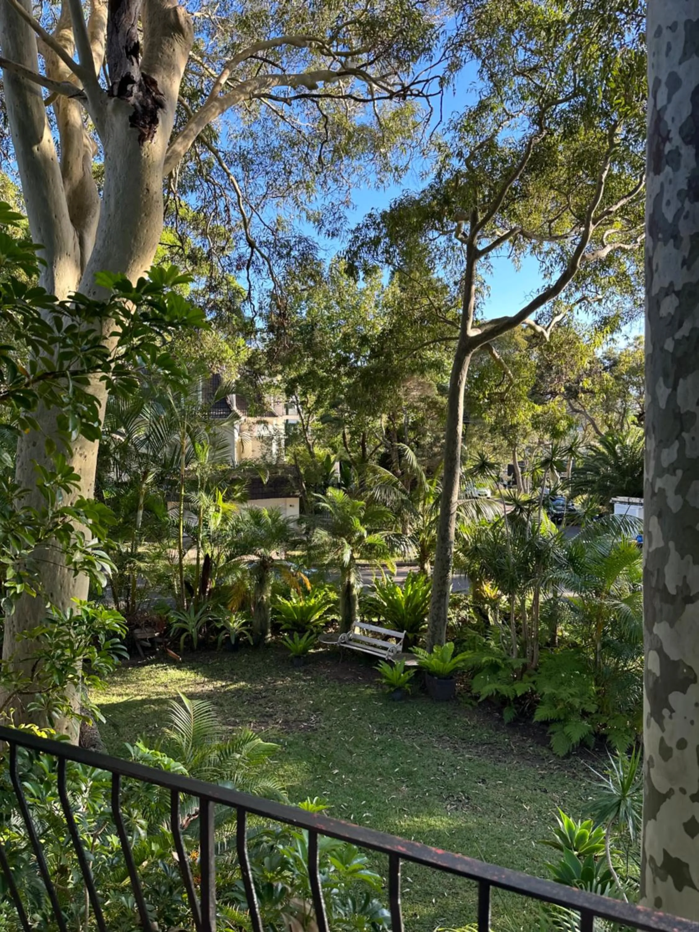 Garden view in Palm Beach Bed & Breakfast