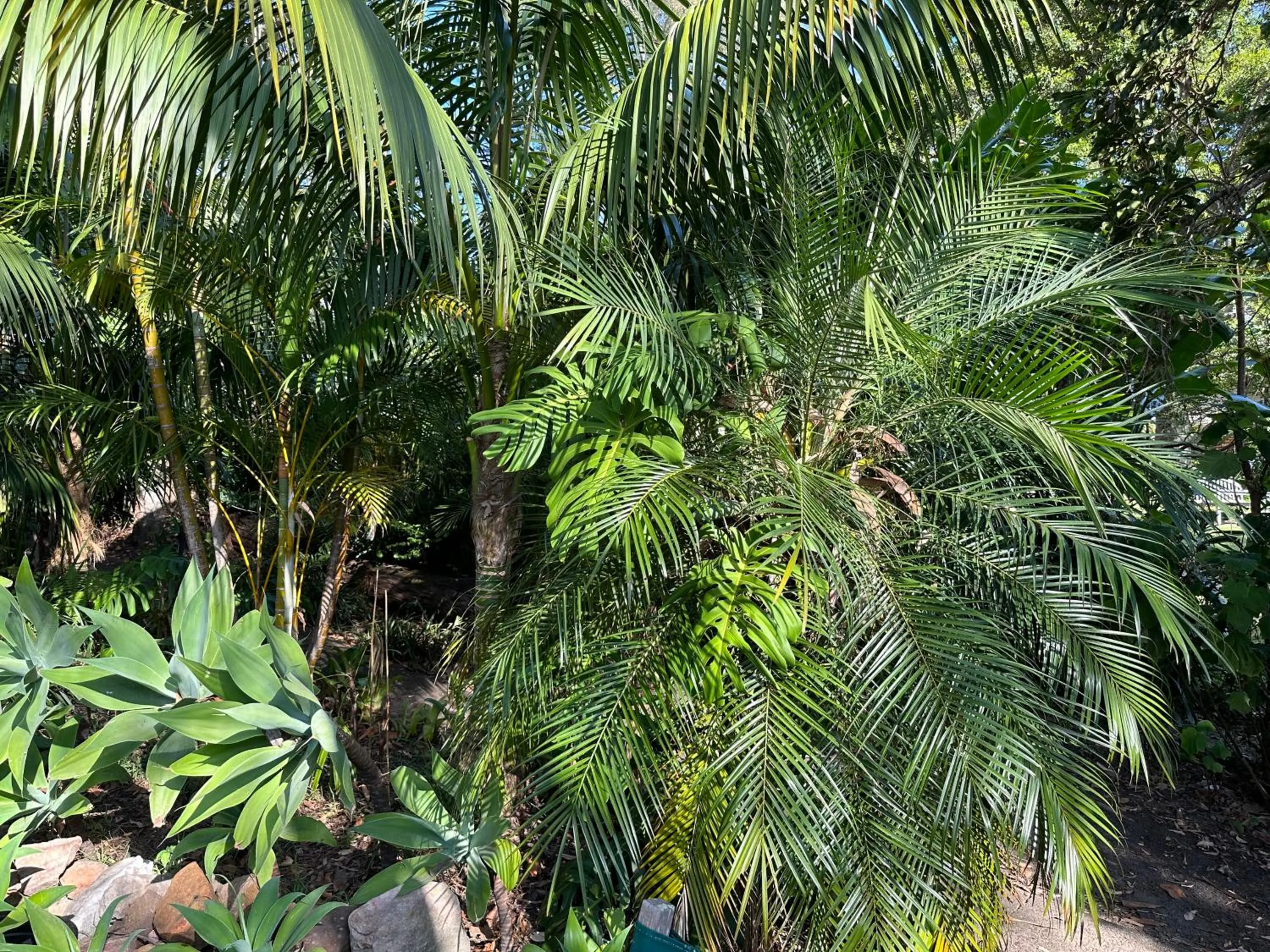 Garden in Palm Beach Bed & Breakfast