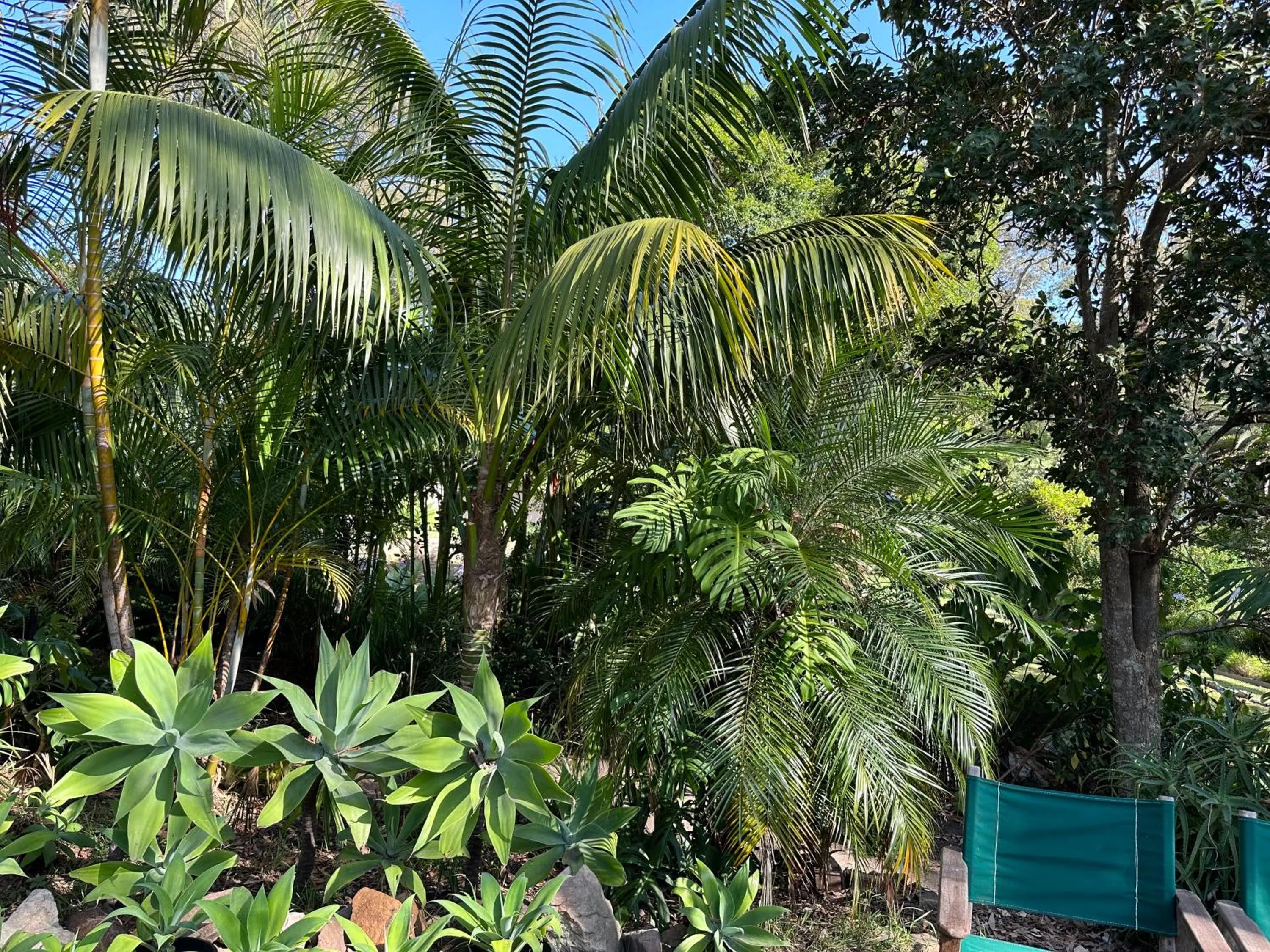 Garden in Palm Beach Bed & Breakfast